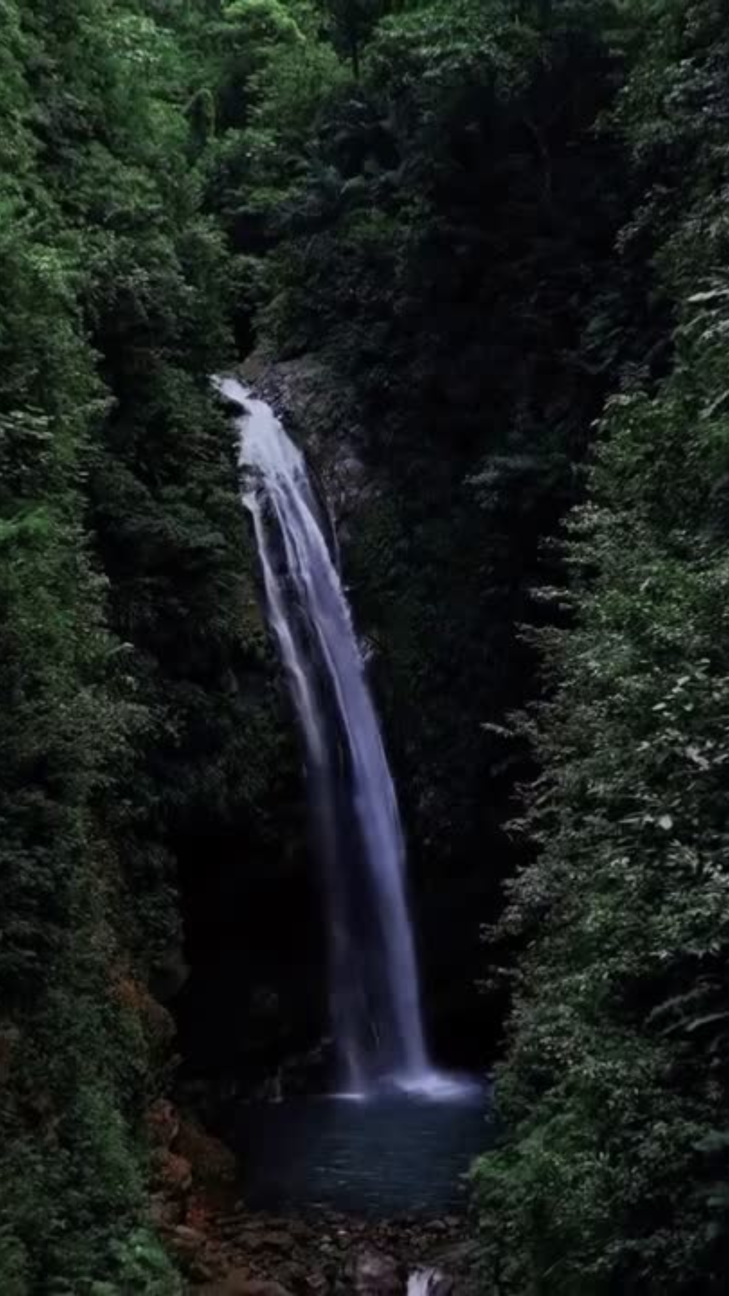 Untitled design-6.png