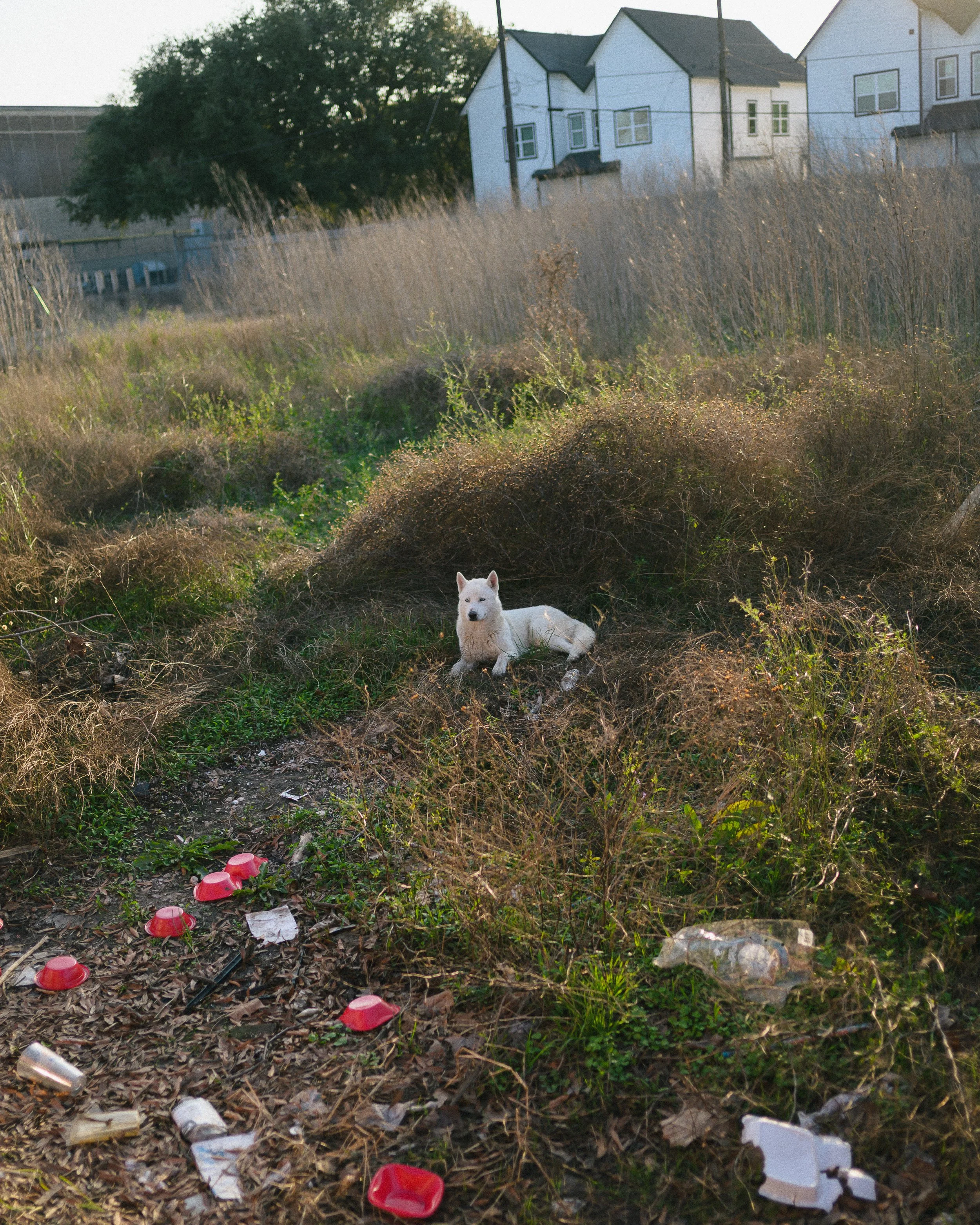 DSC_2240.jpg