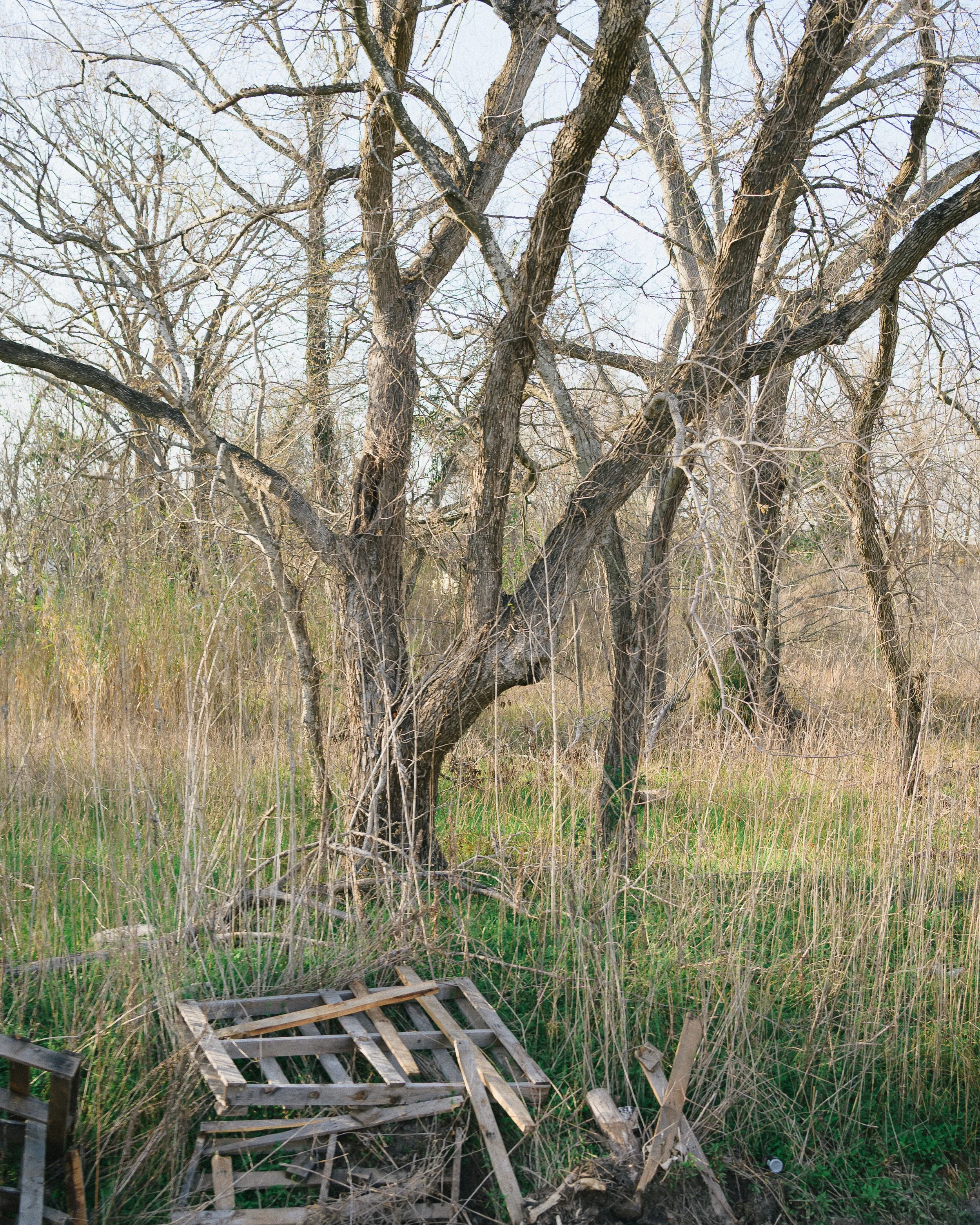 DSC_2216.jpg