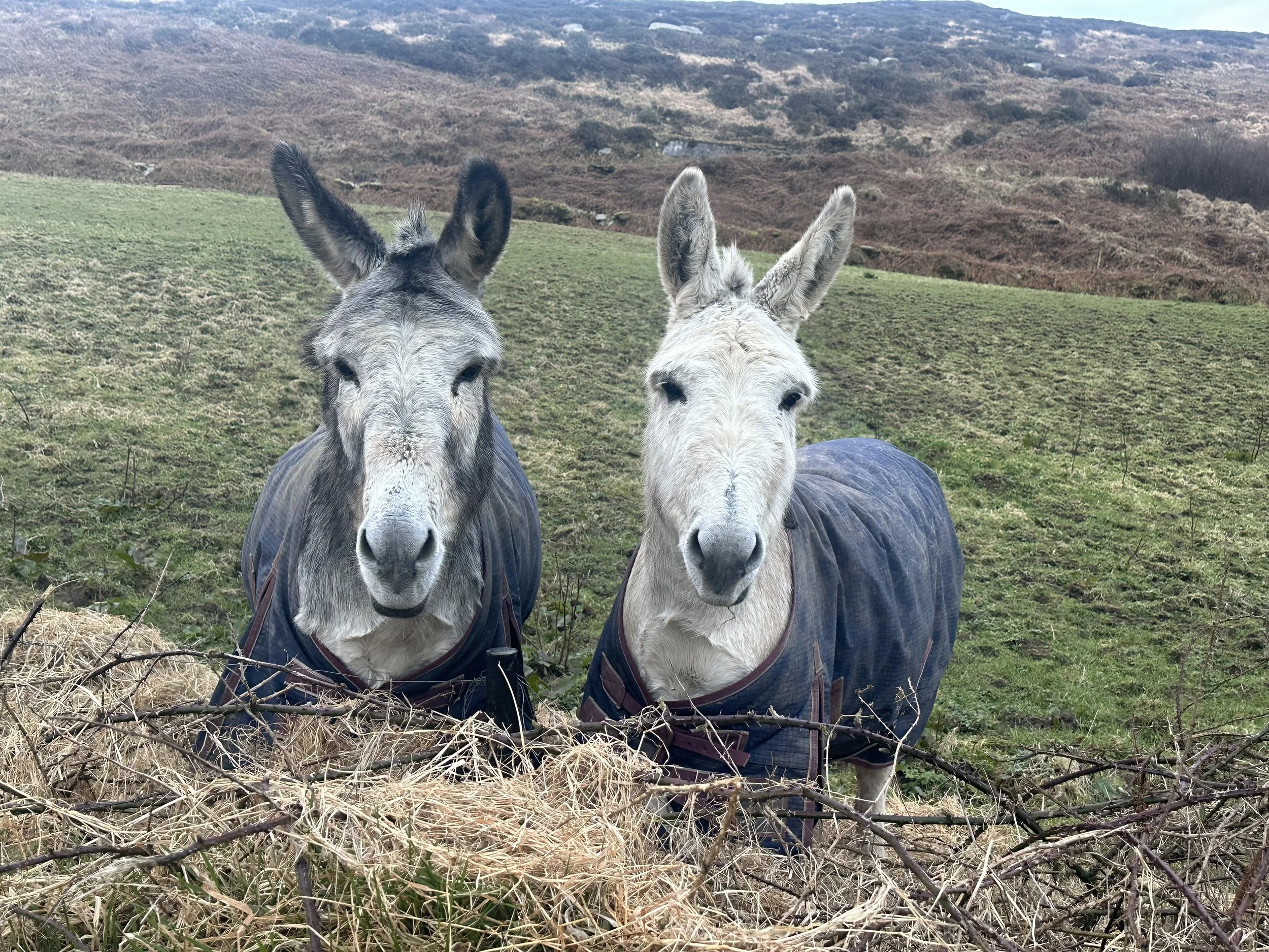 Greetings from West Cork
