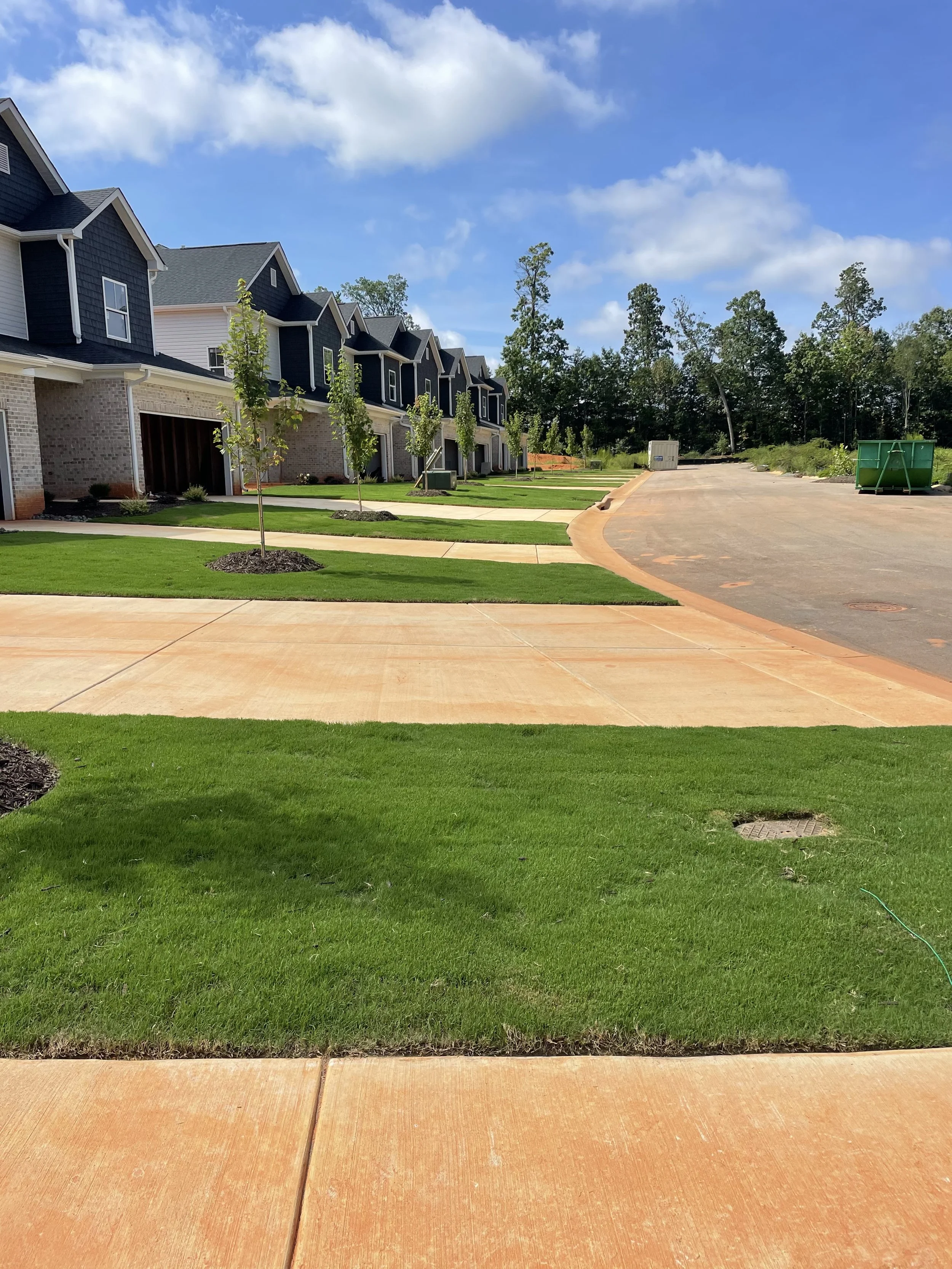 Newly paved sidewalk and driveway with grass and young trees planted along the sidewalk in front of modern townhouses under a partly cloudy blue sky.