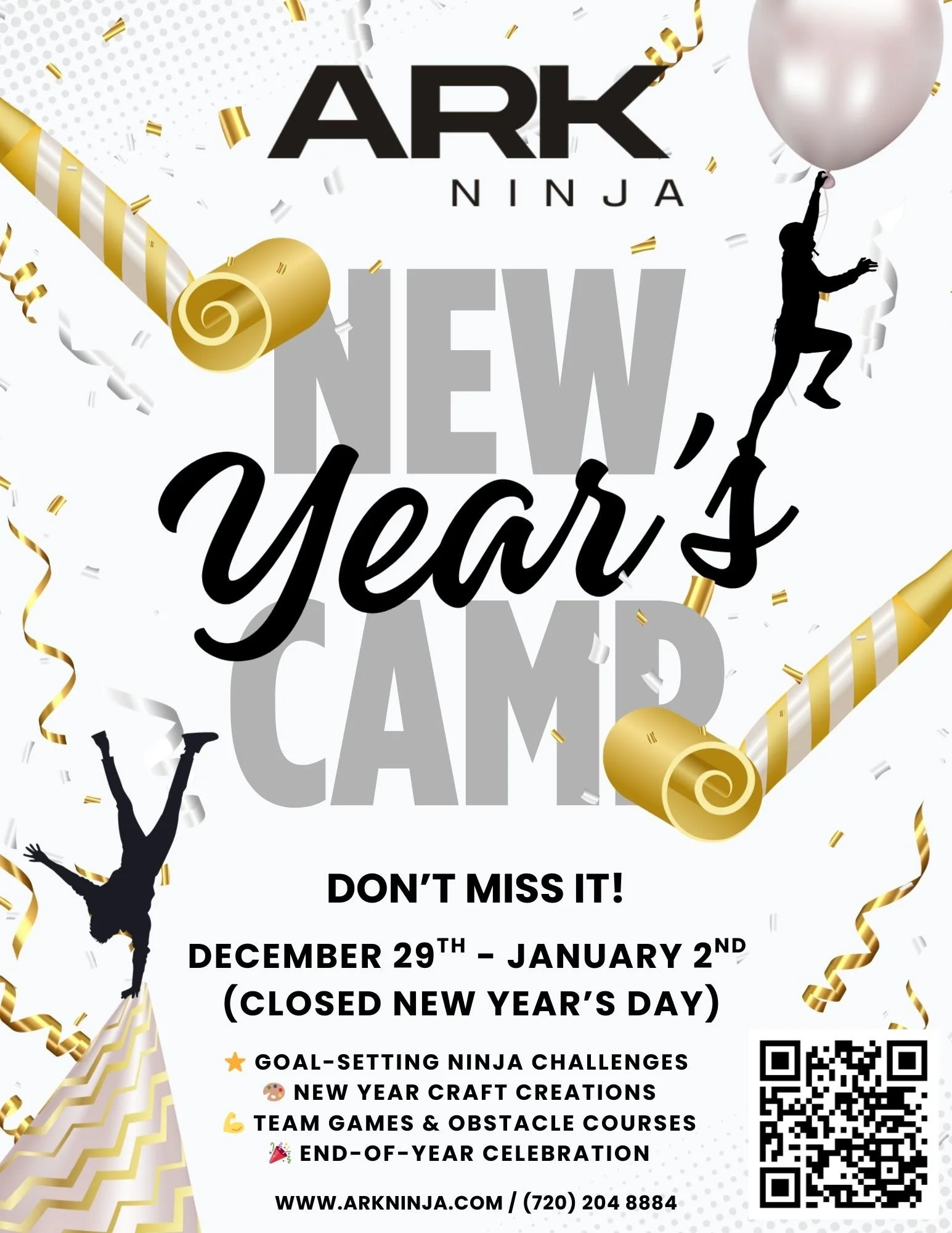 New Year Ninja Camp