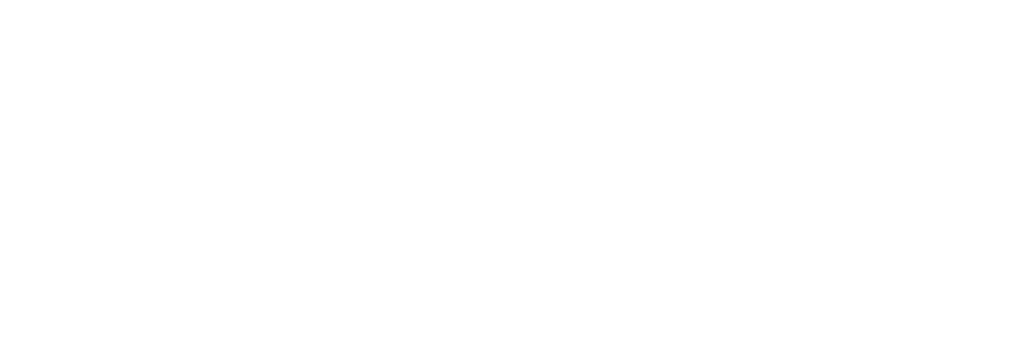 ARK NINJA