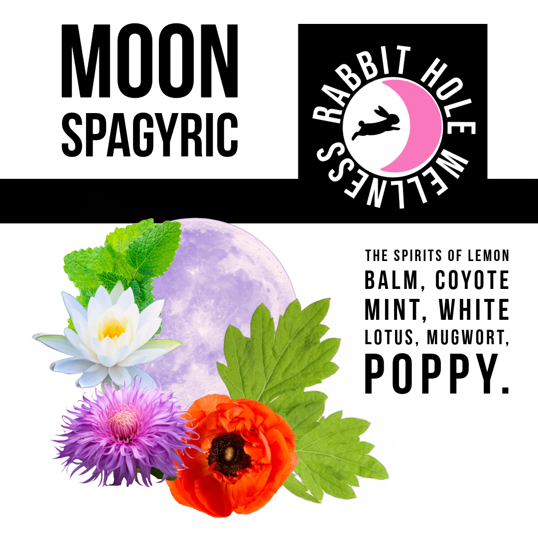 MoonSP1-2.png