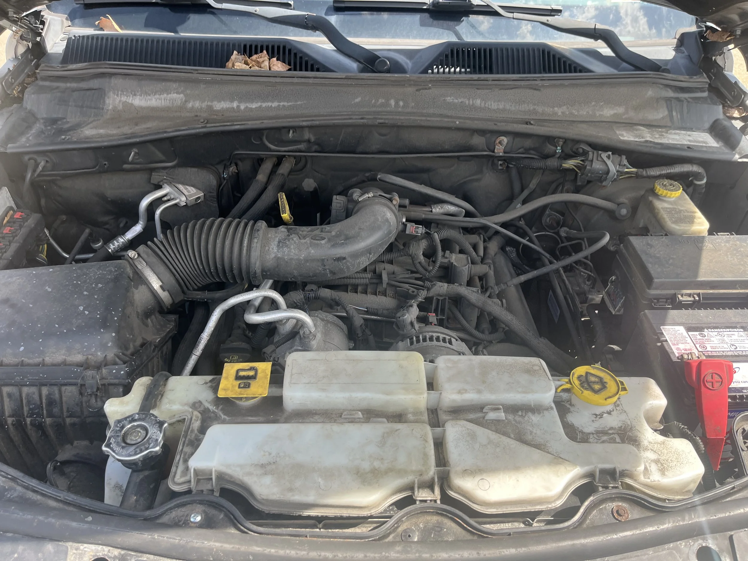 Photo Apr 04 2026, 1 42 04 PM.jpg