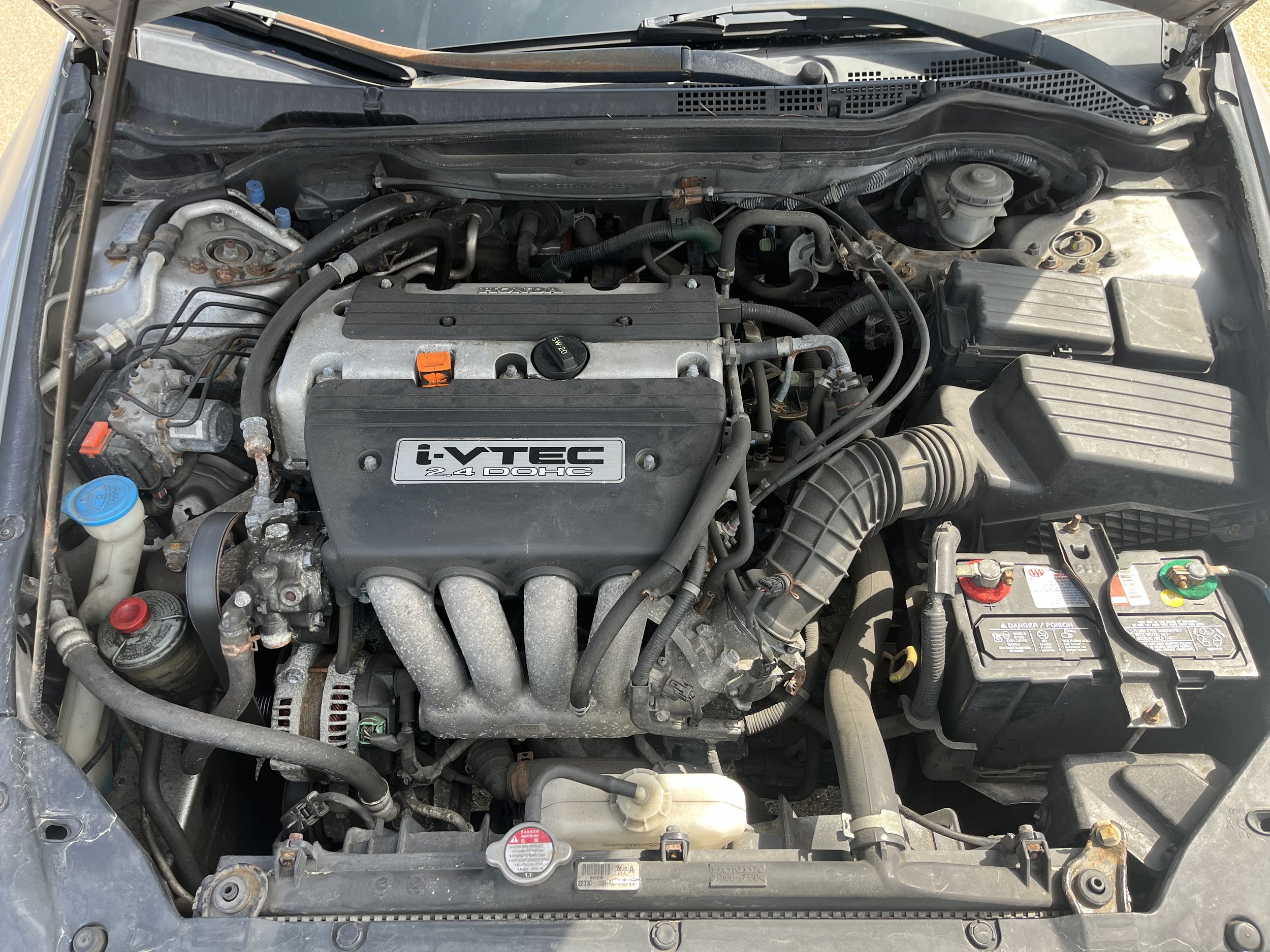 Photo Apr 04 2026, 12 35 01 PM.jpg