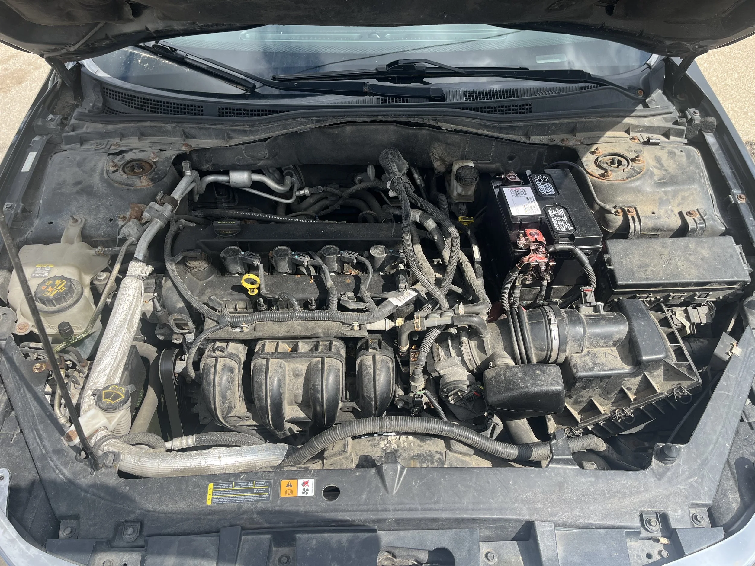 Photo Apr 03 2026, 2 57 49 PM.jpg