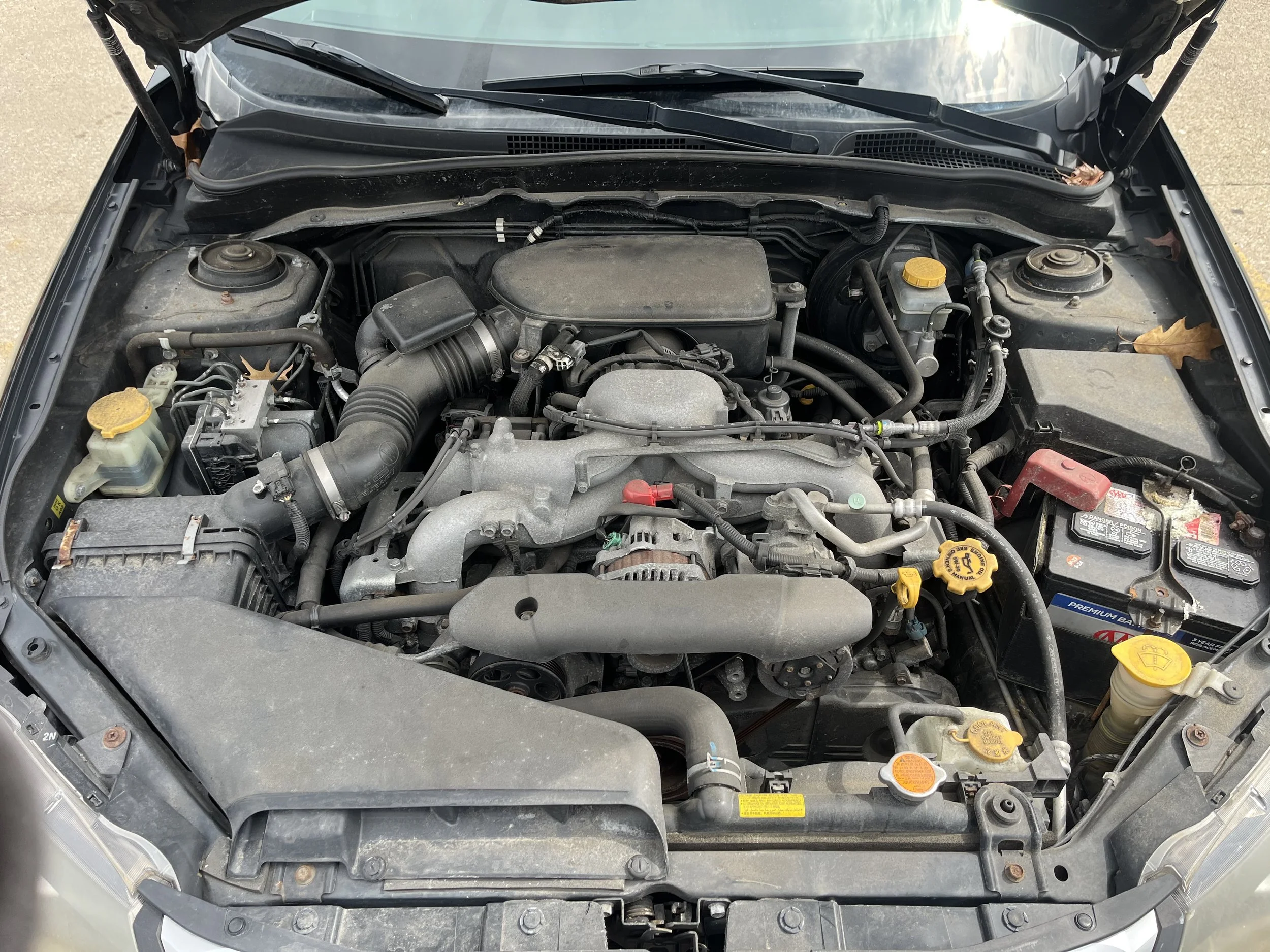 Photo Mar 30 2026, 12 49 32 PM.jpg