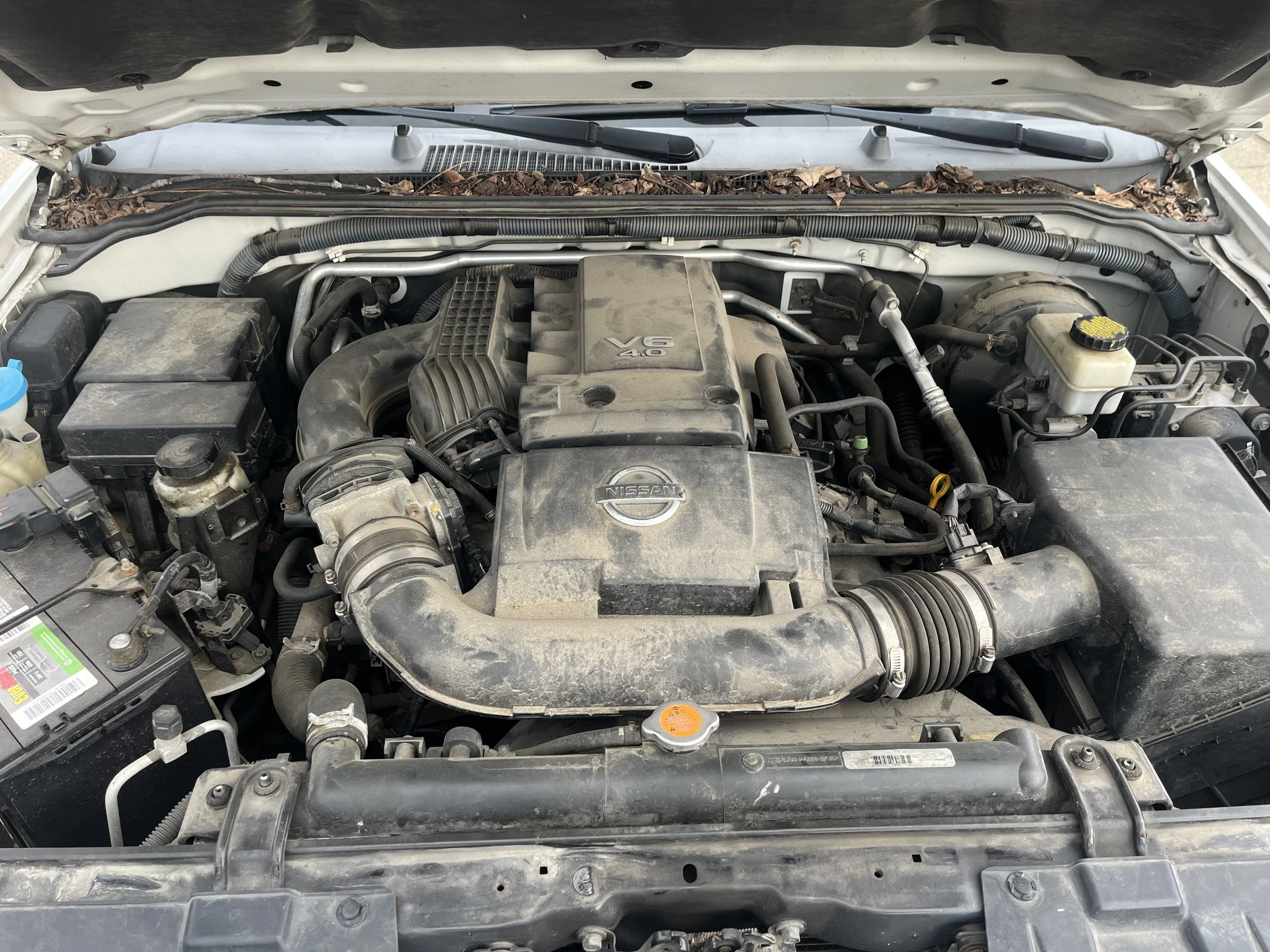 Photo Apr 03 2026, 5 00 43 PM.jpg