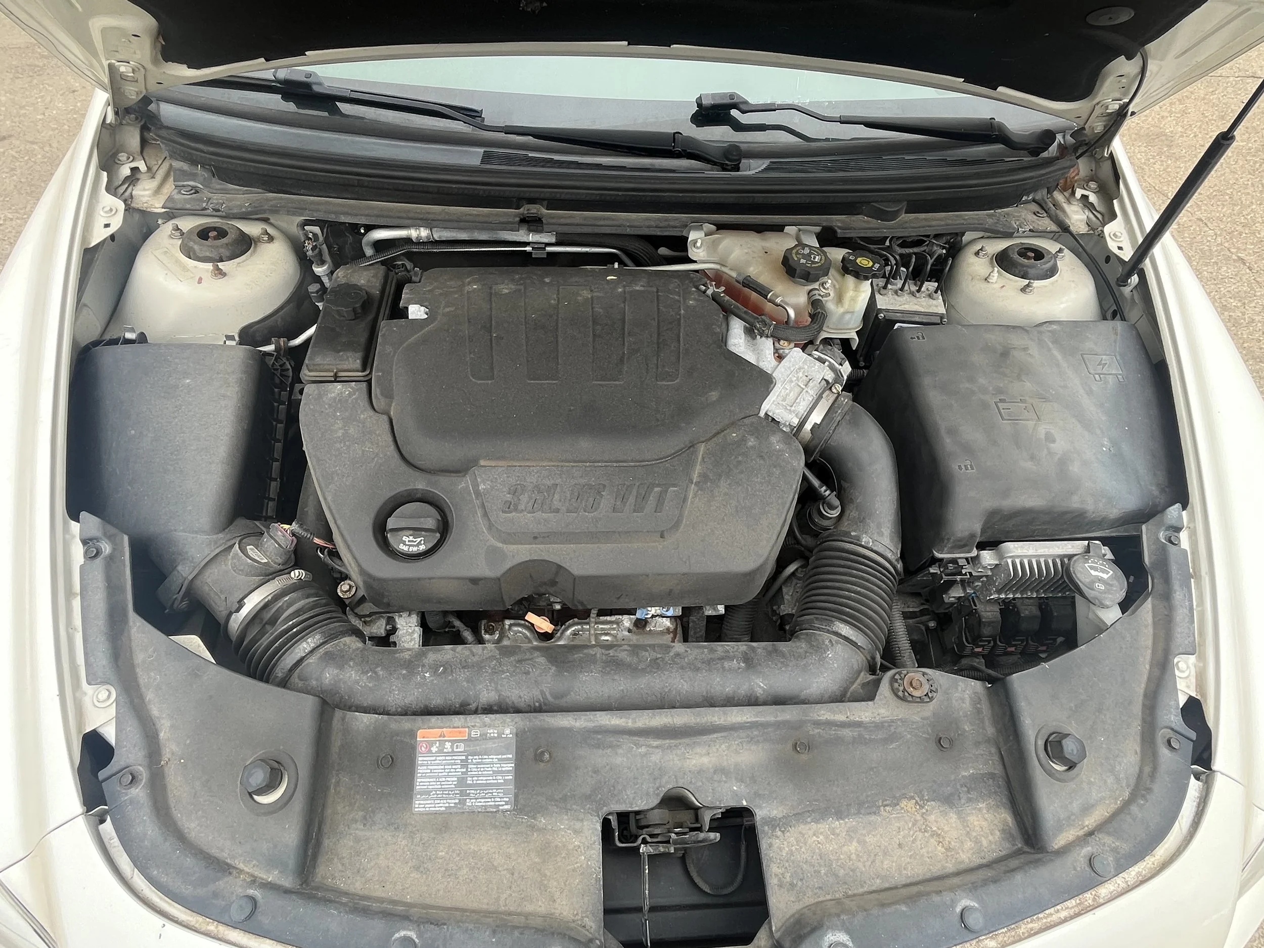 Photo Mar 10 2026, 2 22 51 PM.jpg