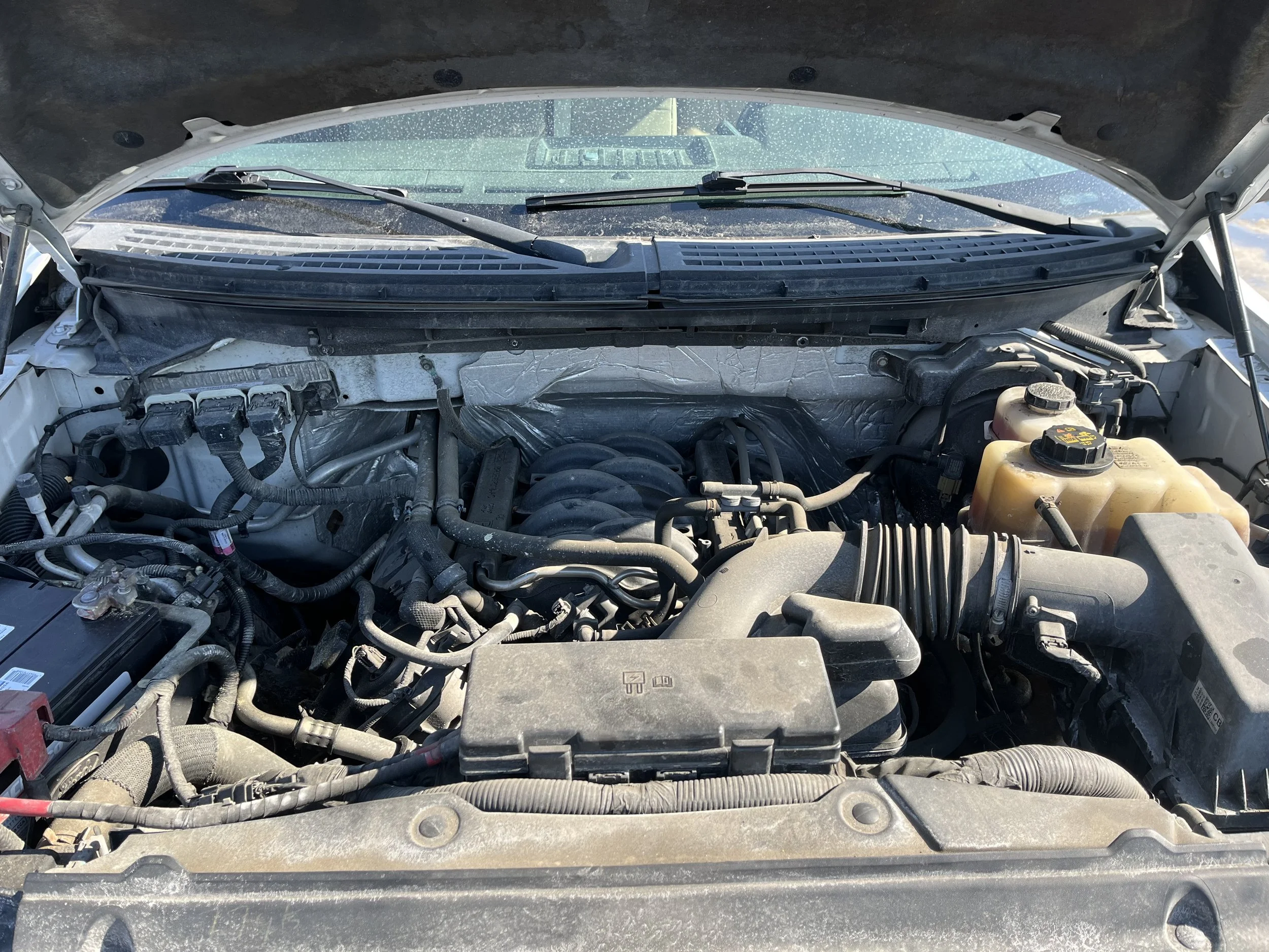 Photo Feb 10 2026, 12 45 06 PM.jpg