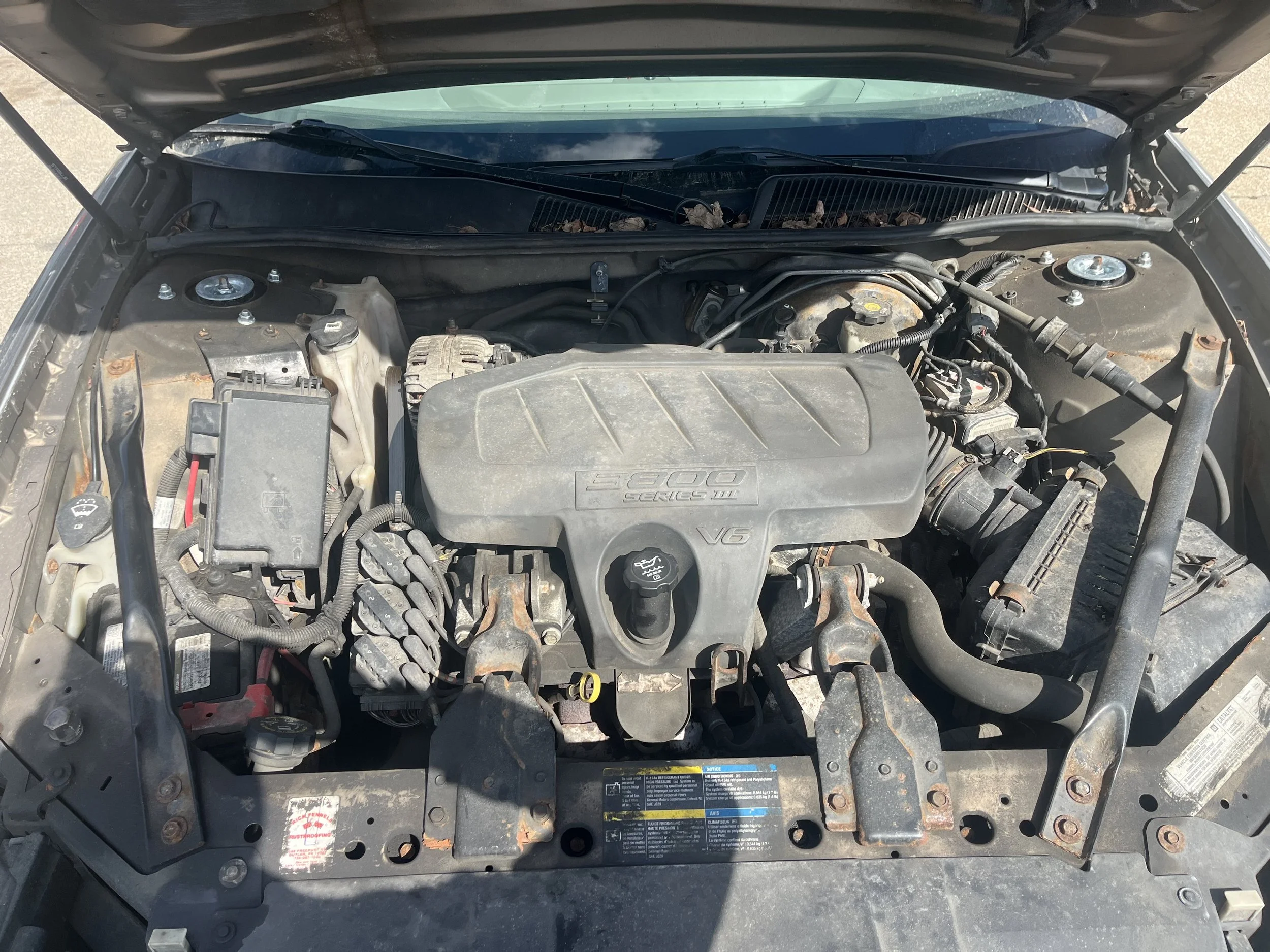 Photo Apr 13 2026, 3 54 10 PM.jpg