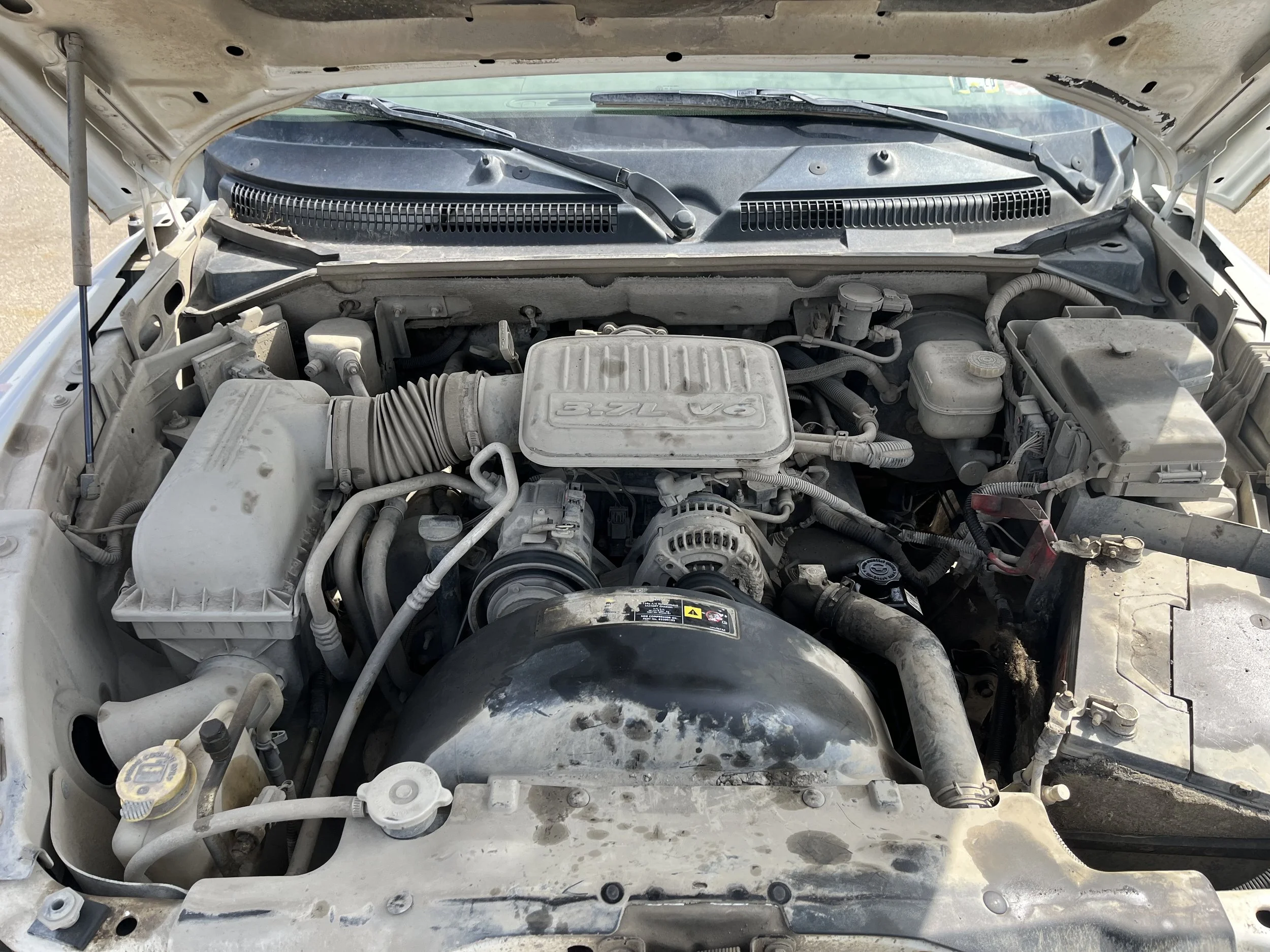 Photo Mar 30 2026, 12 01 04 PM.jpg