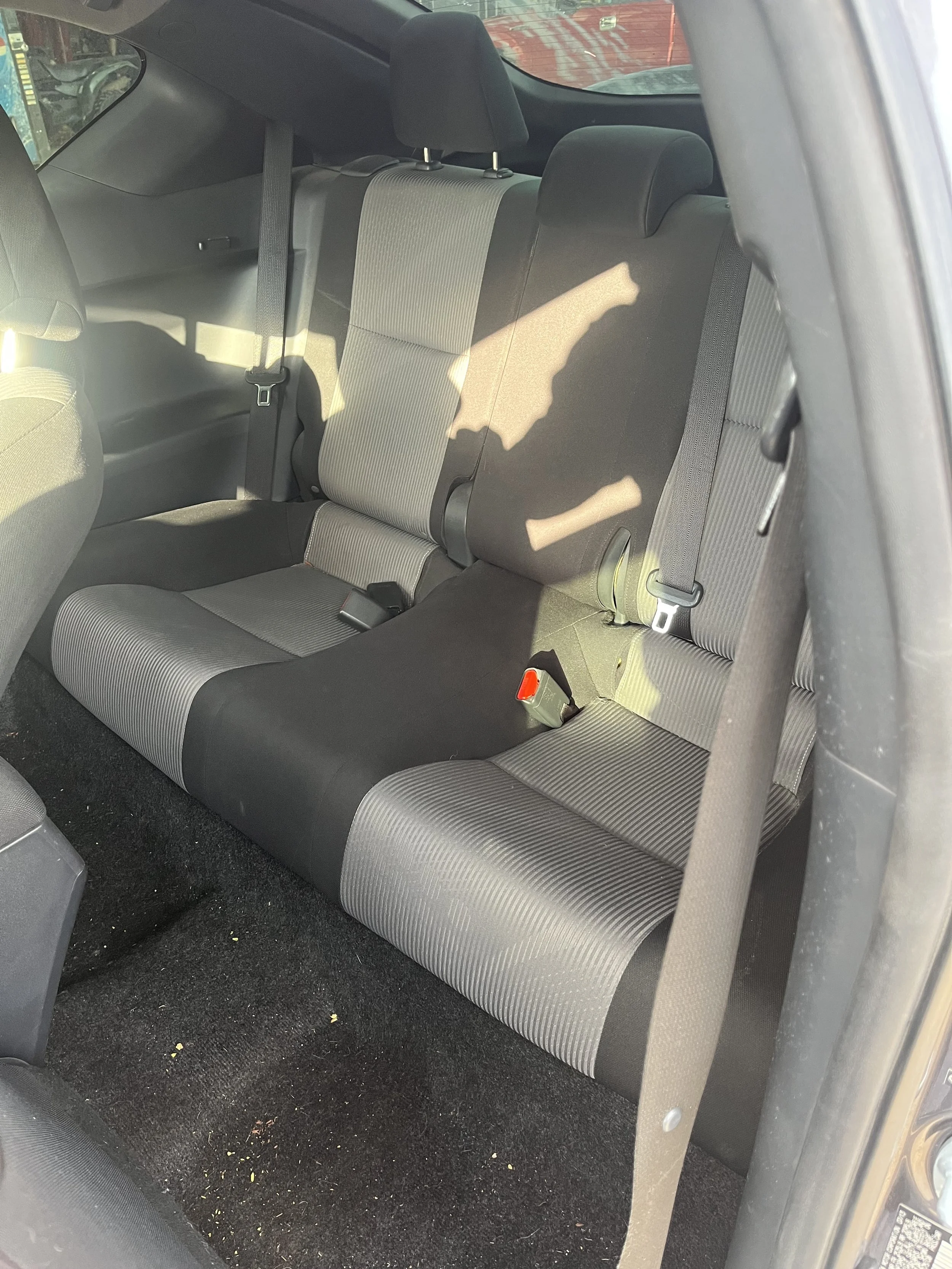 Photo Feb 19 2026, 4 37 29 PM.jpg