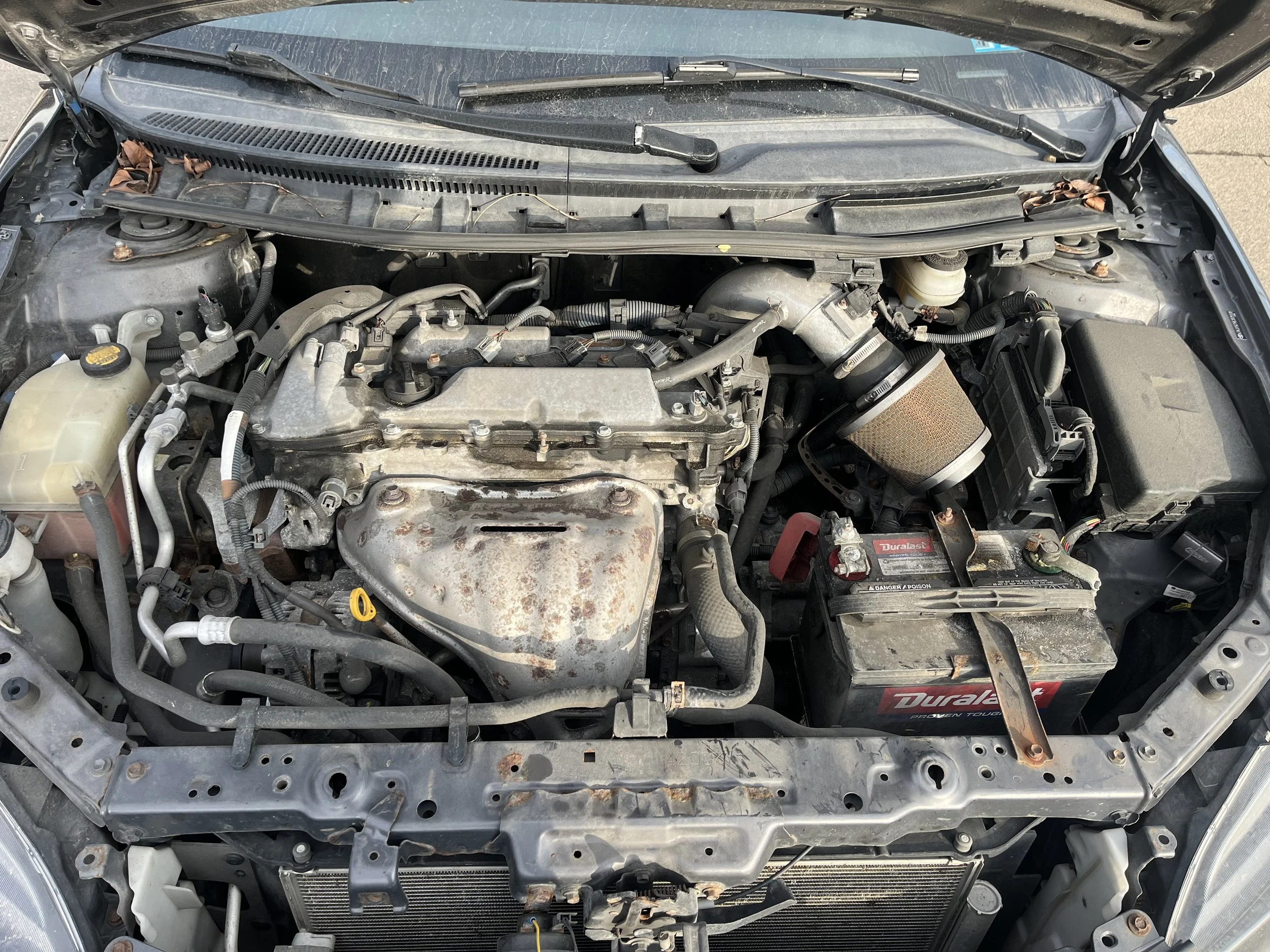 Photo Feb 19 2026, 4 35 44 PM.jpg