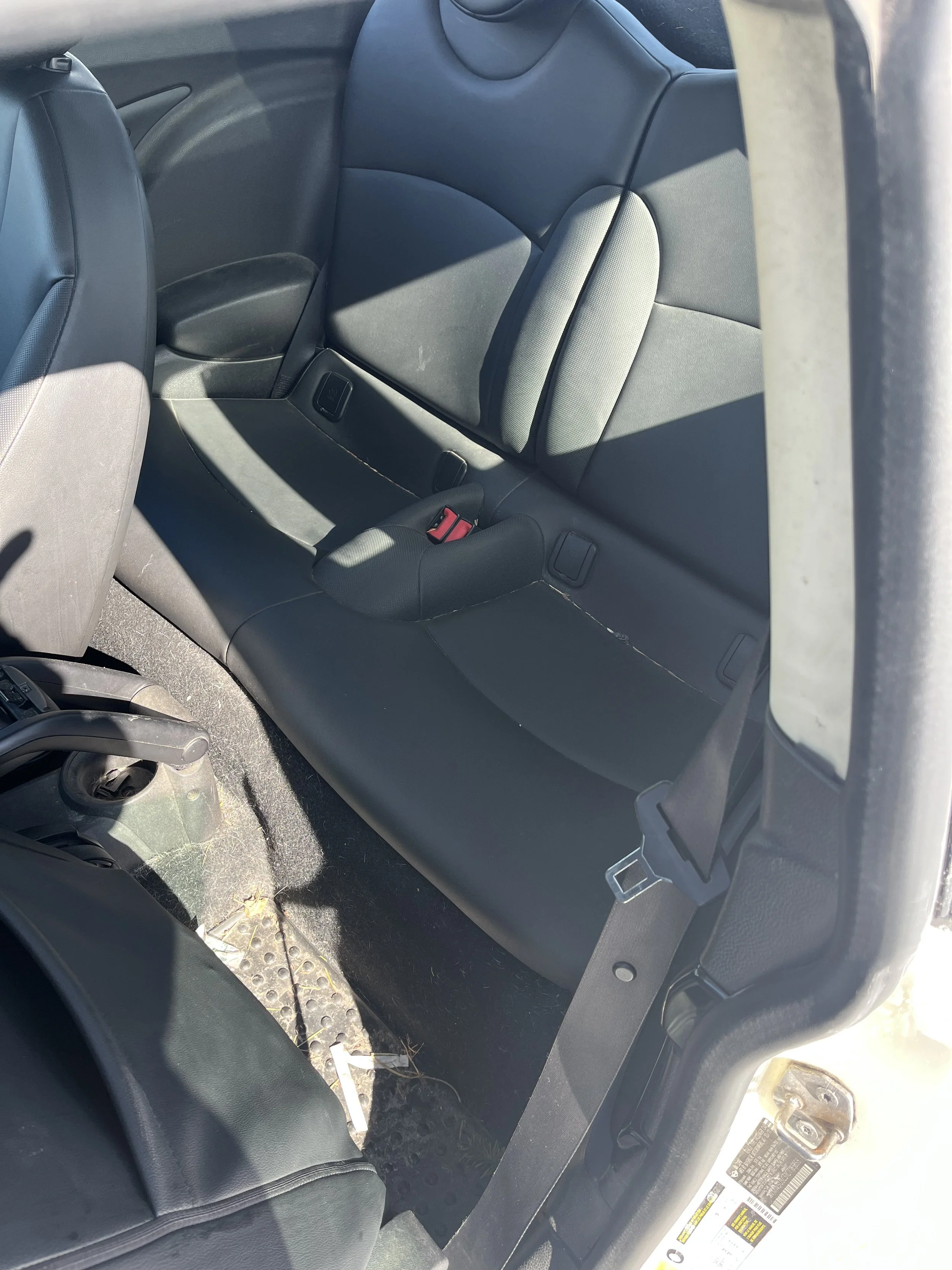 Photo Feb 07 2026, 1 13 39 PM.jpg