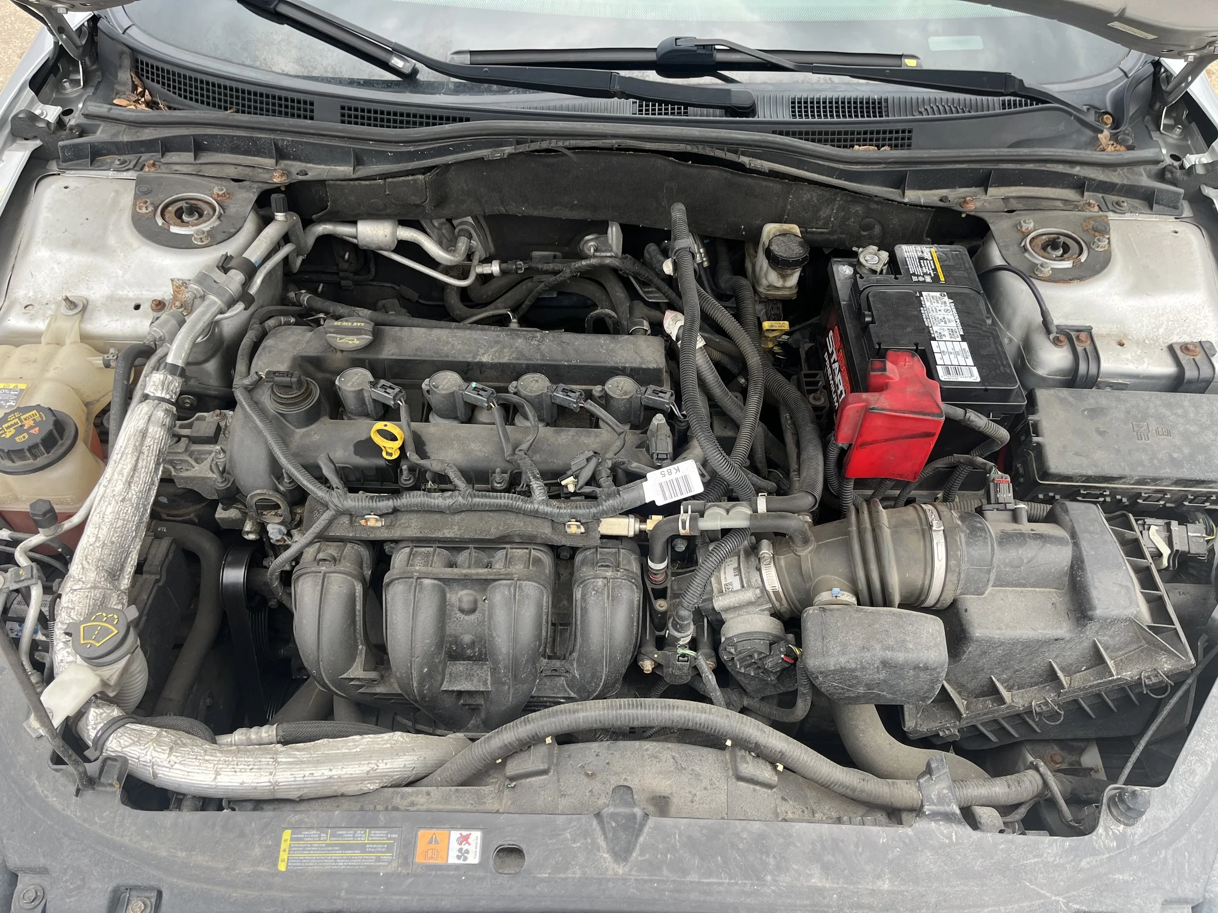 Photo Mar 30 2026, 4 30 25 PM.jpg