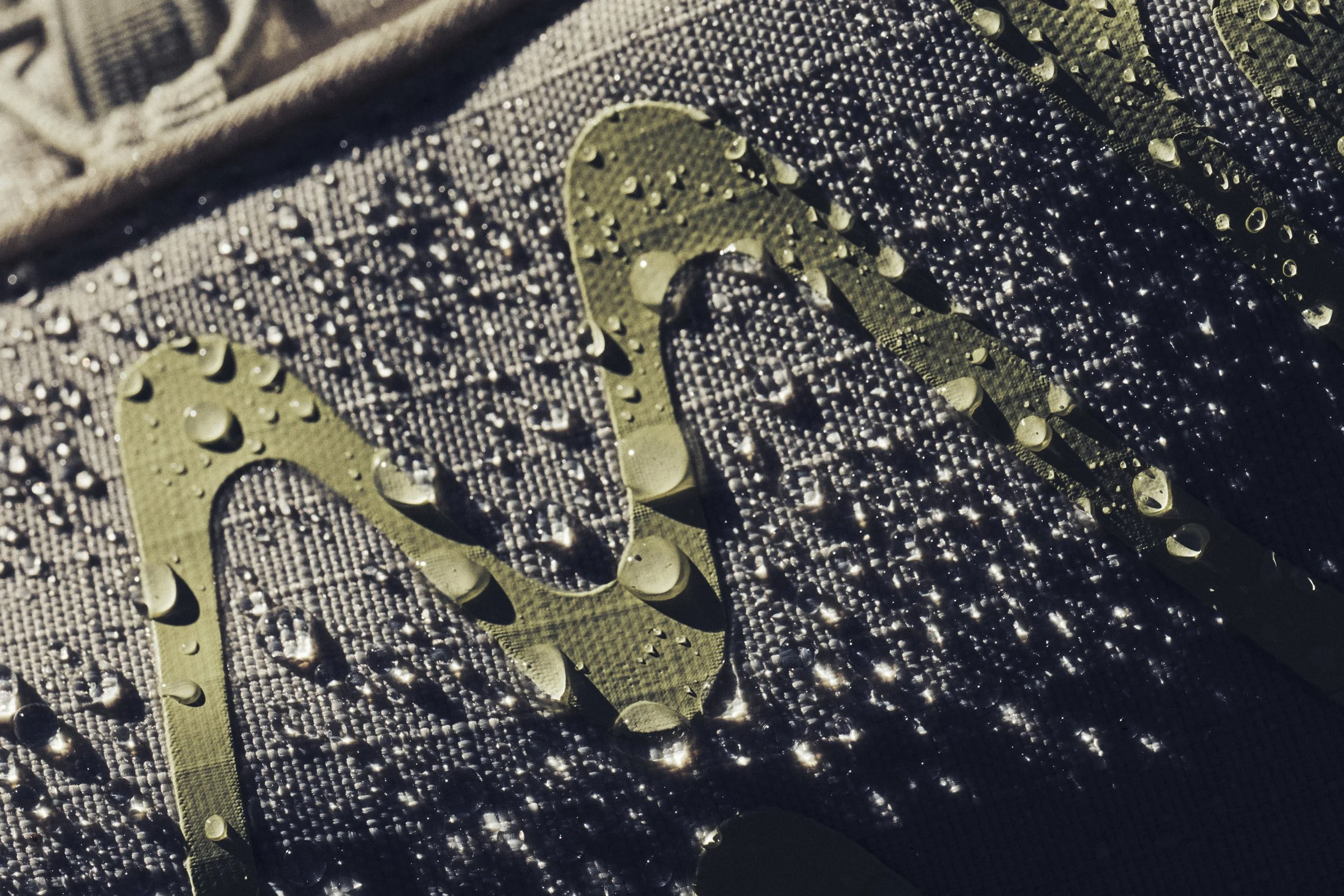 2025_11_22_GORE_LOOKBOOK-3209 1.jpg