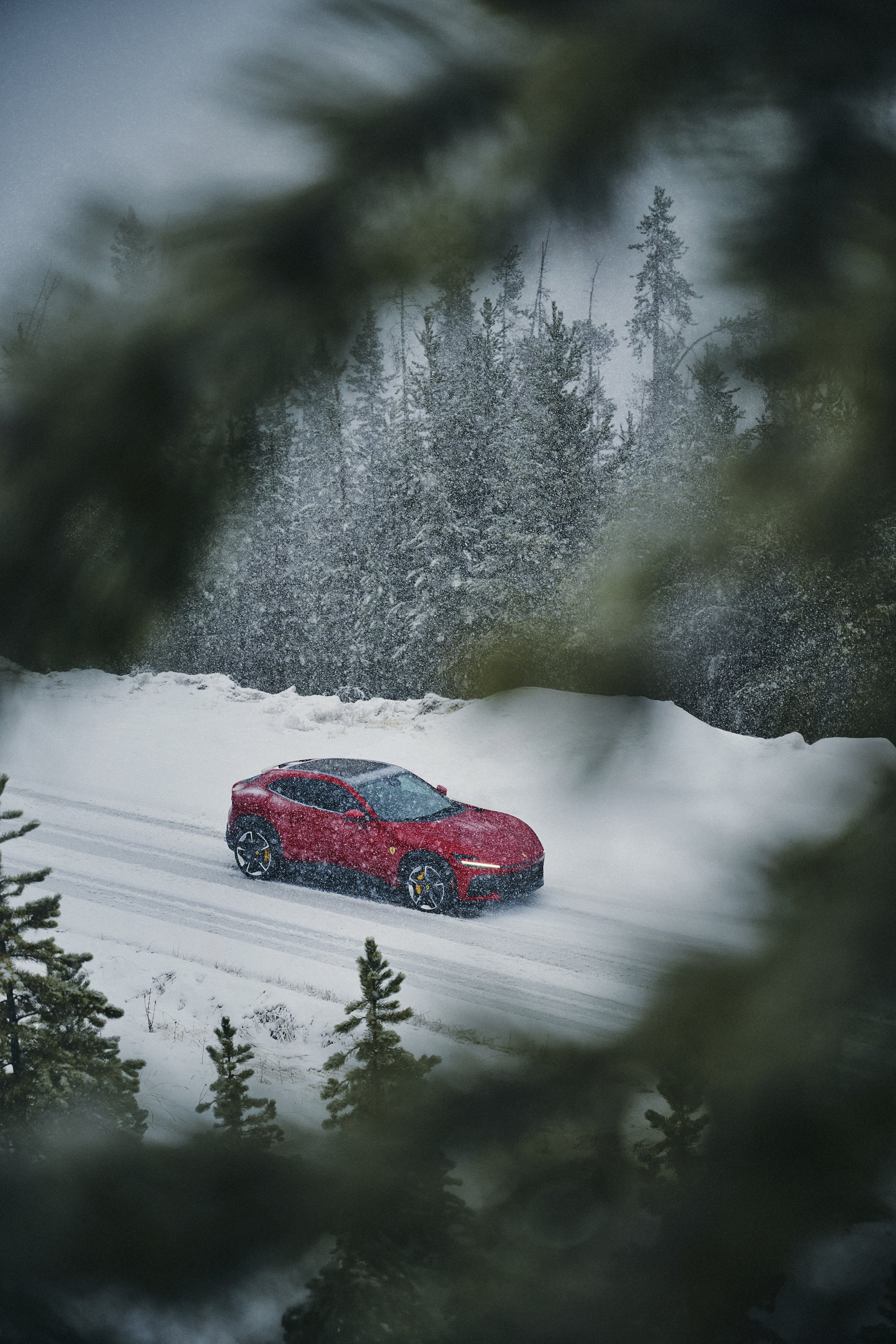 2025_12_17_Ferrari_Purosangue_Big_Sky-0033 1.jpg