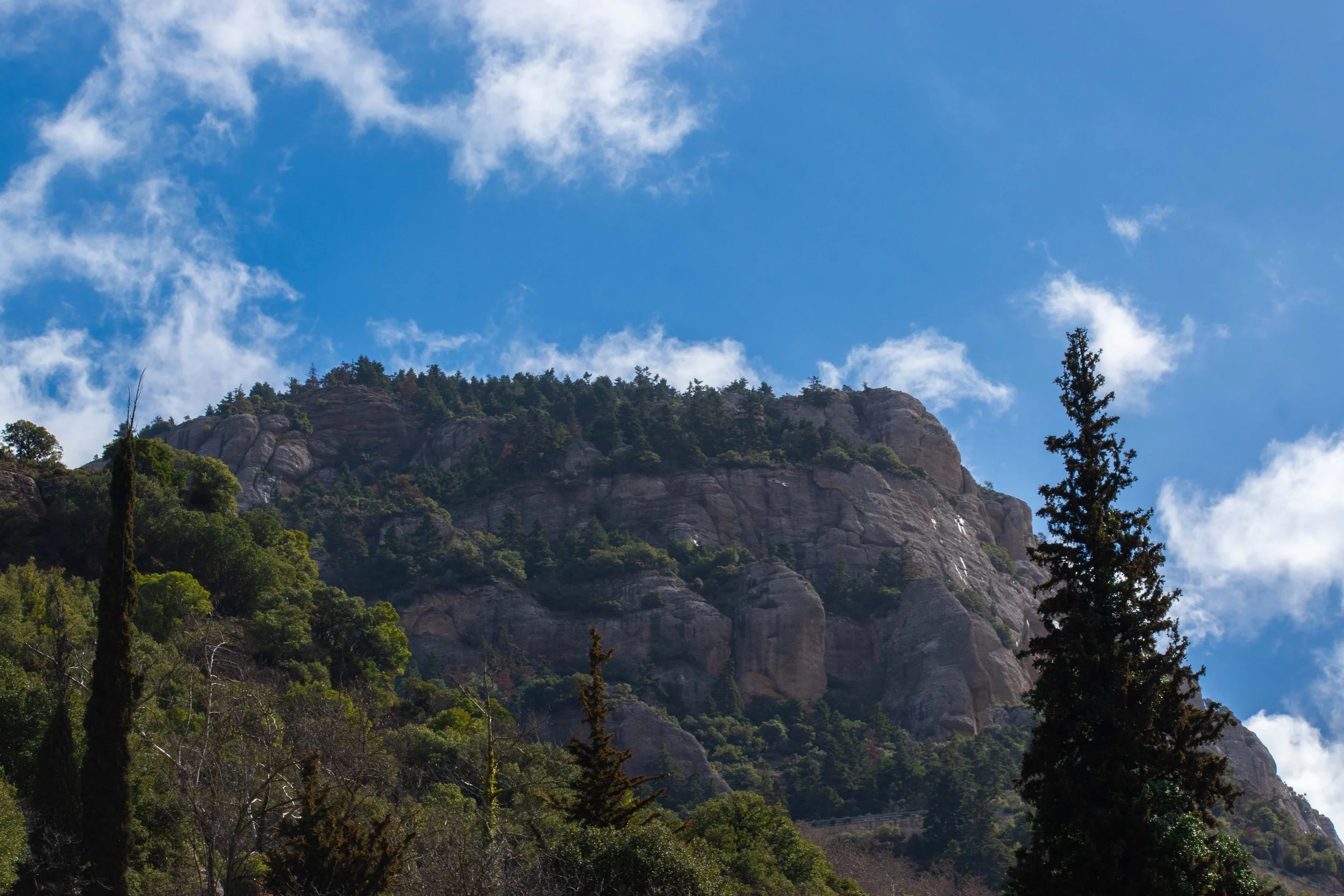 DSC_0037.jpg