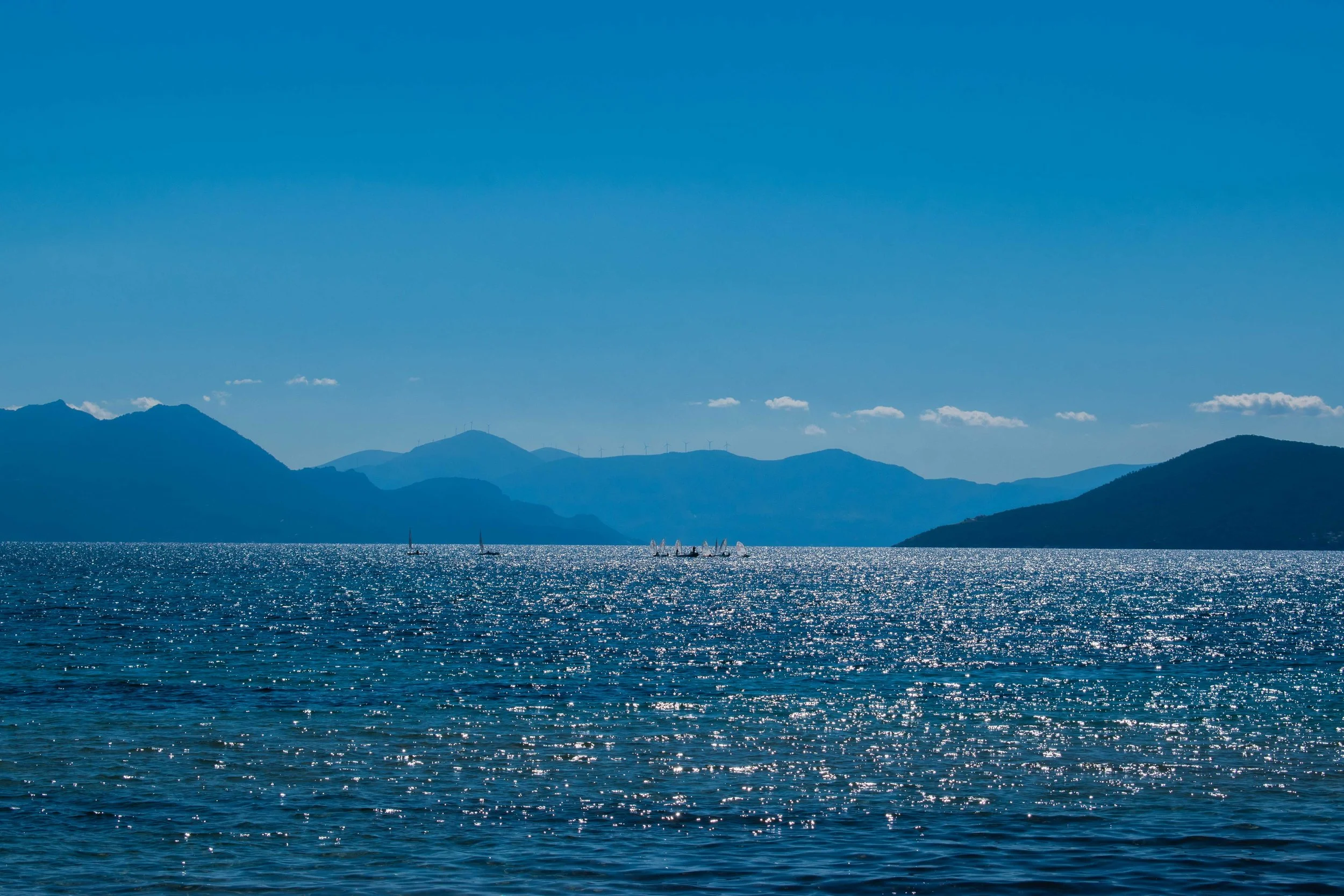 DSC_0239.jpg