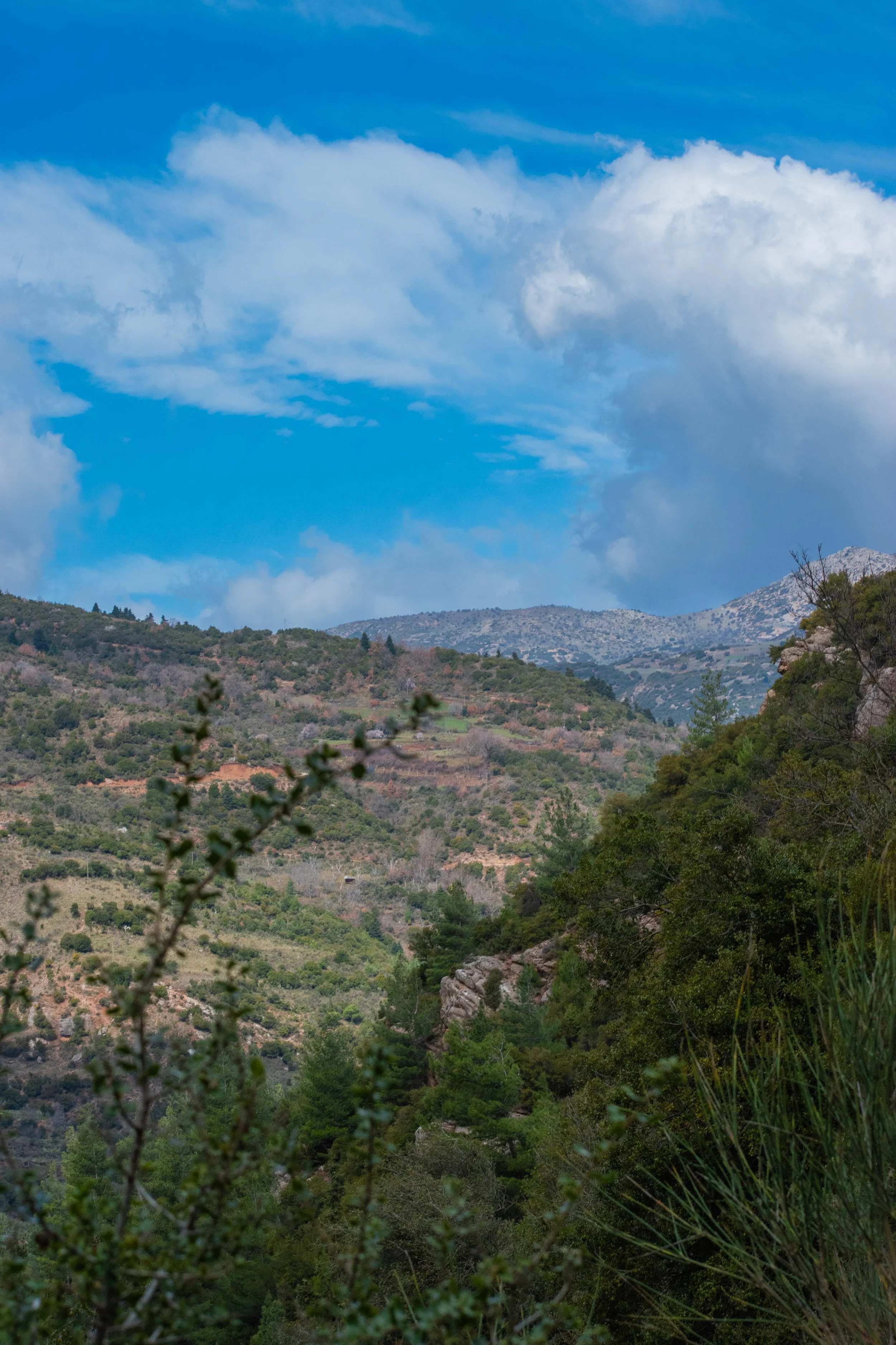 DSC_0016.jpg
