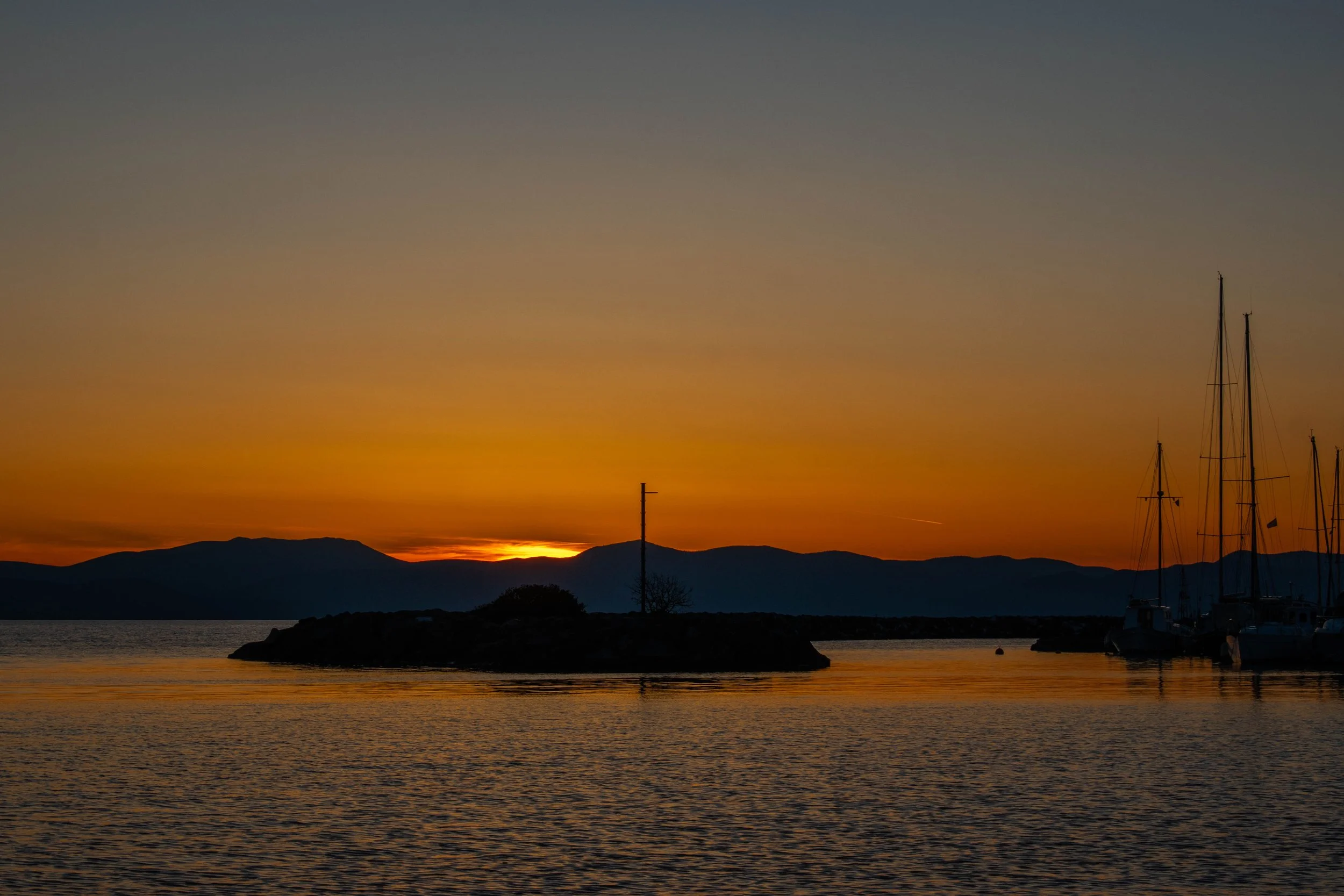 DSC_0425.jpg