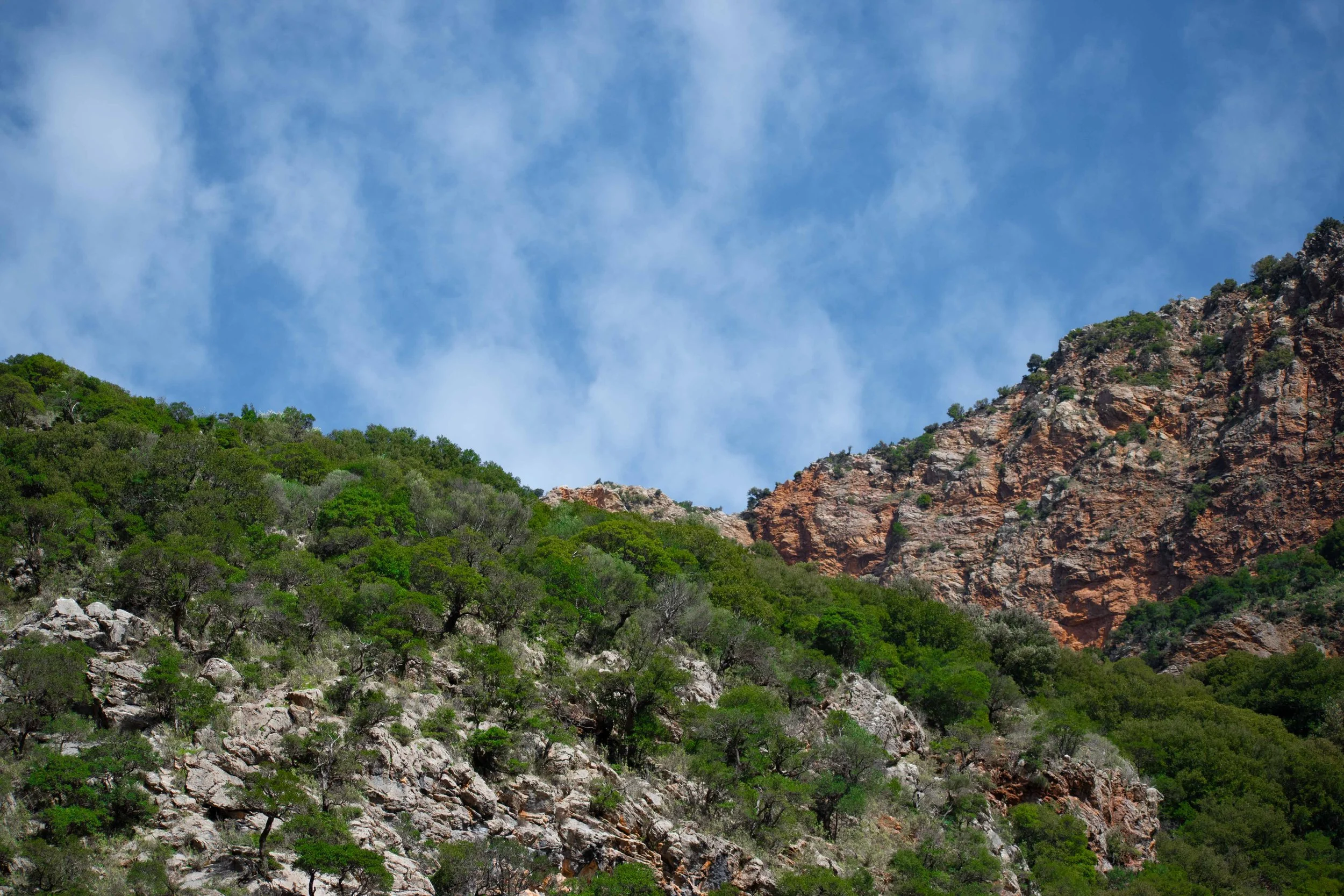 DSC_0079.jpg