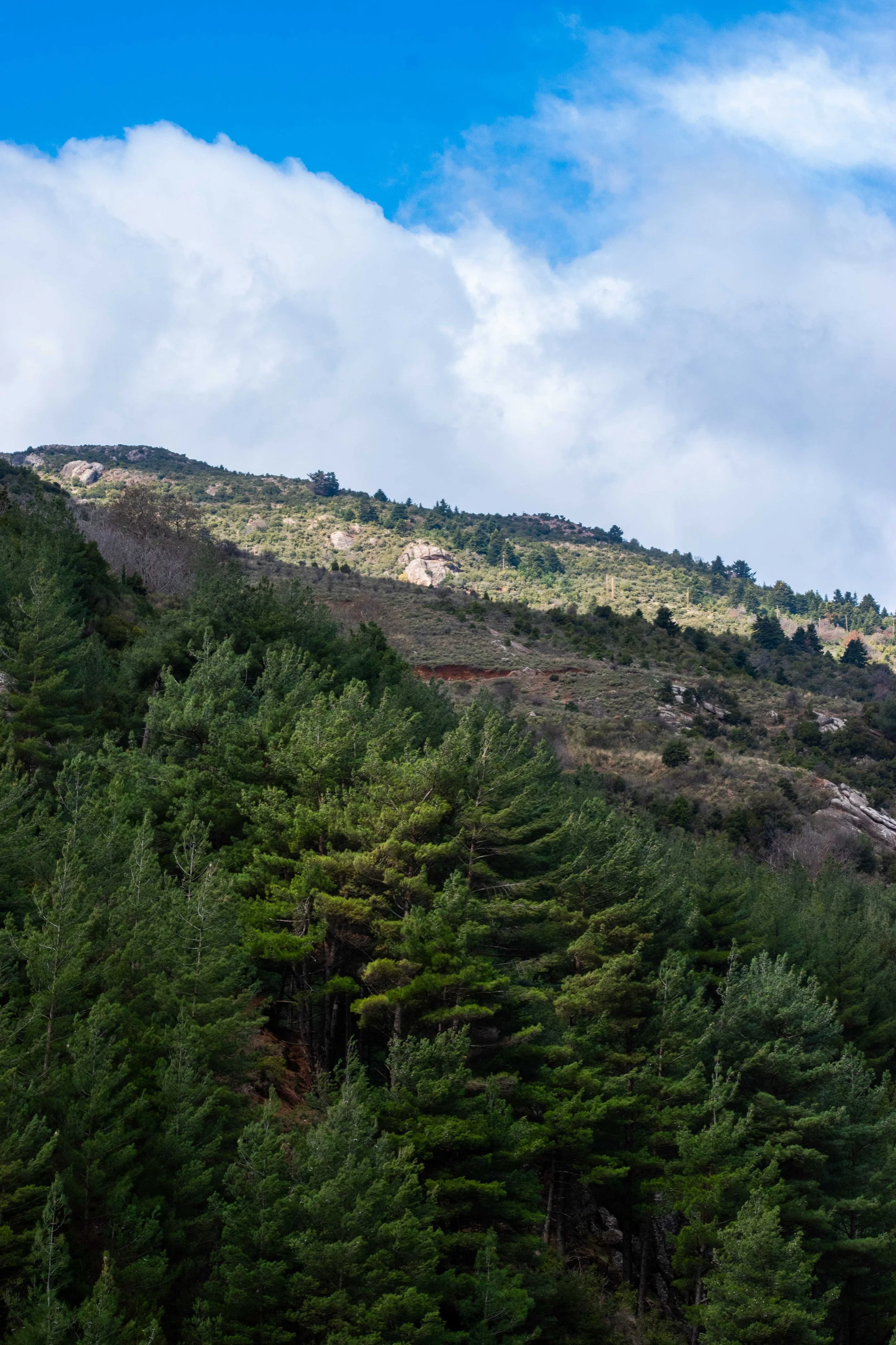 DSC_0029.jpg