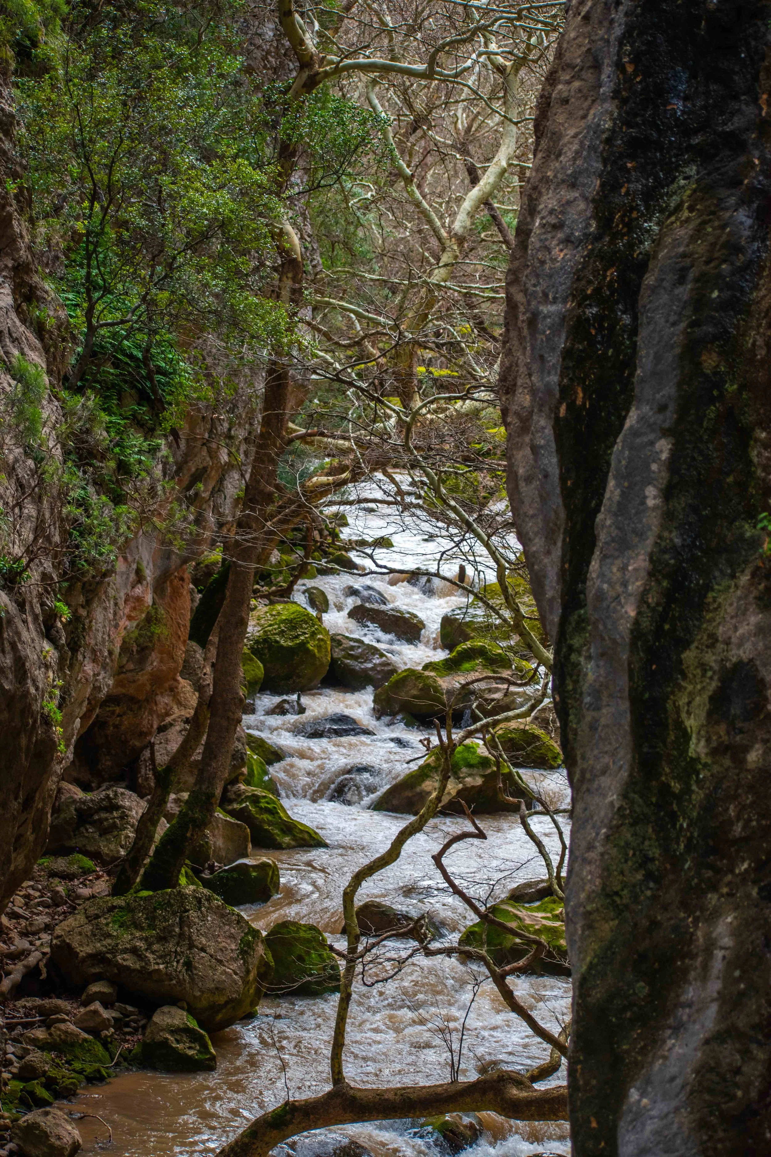 DSC_0056.jpg