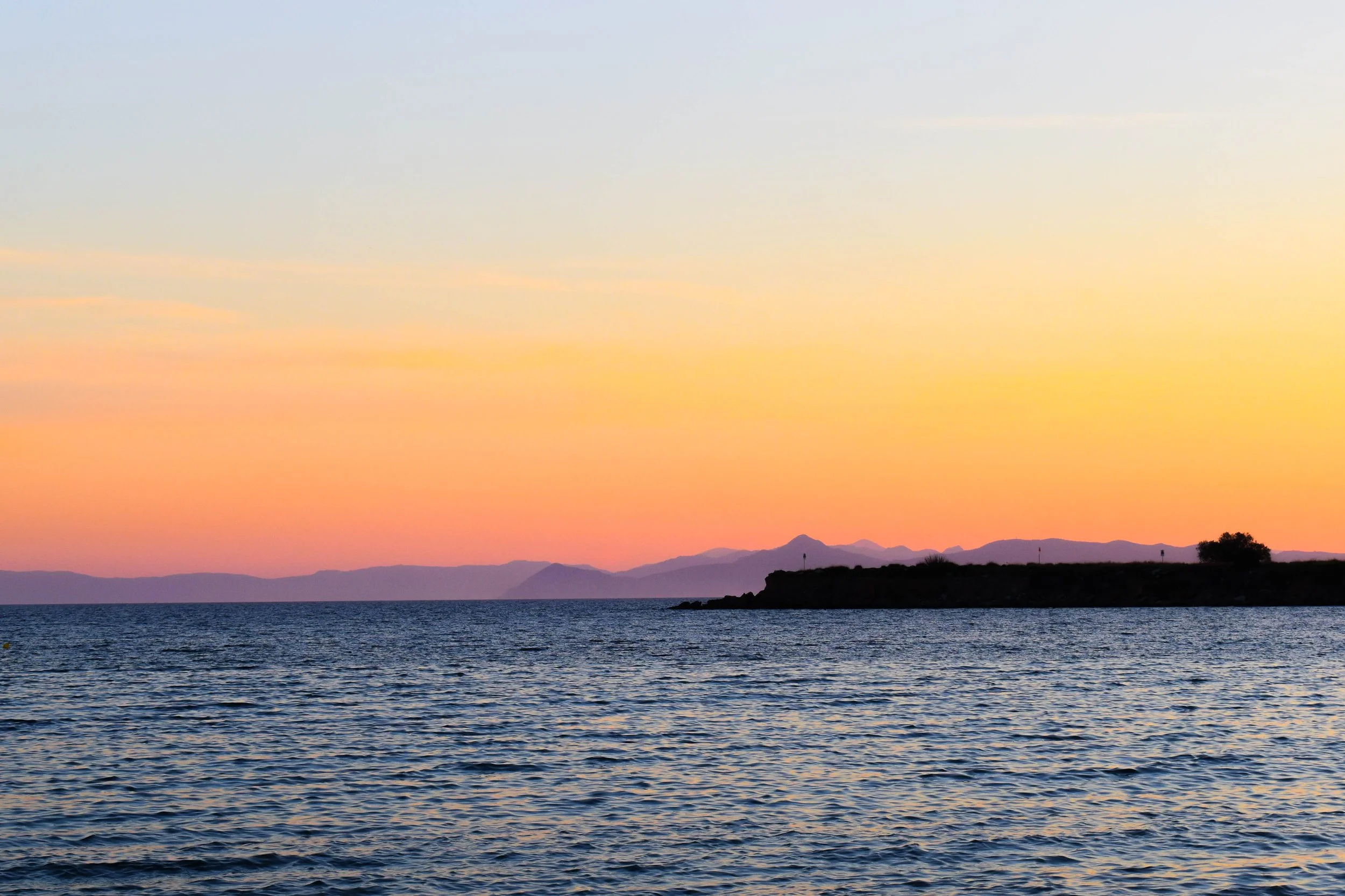 DSC_0042.jpg