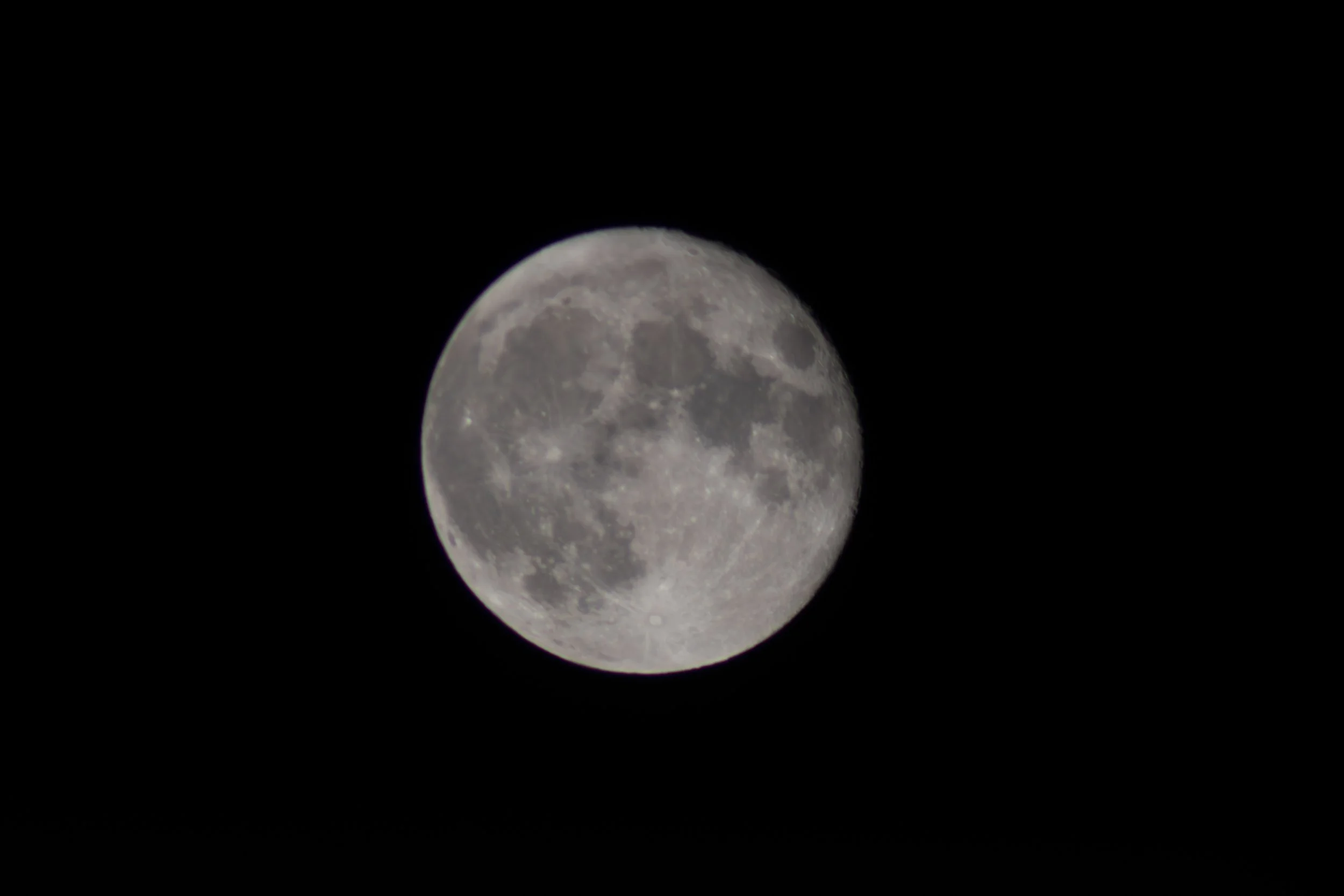 DSC_0059-Enhanced-NR.jpg