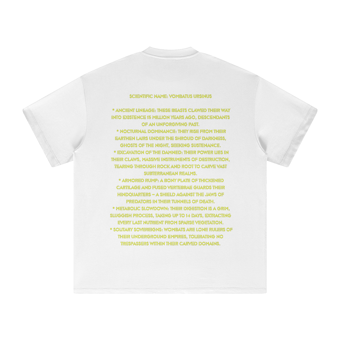squarespace-upload-temp-2025-07-13-d1116134-bc4d-4f50-a019-e1bb8b063fd56742414404391599606.png
