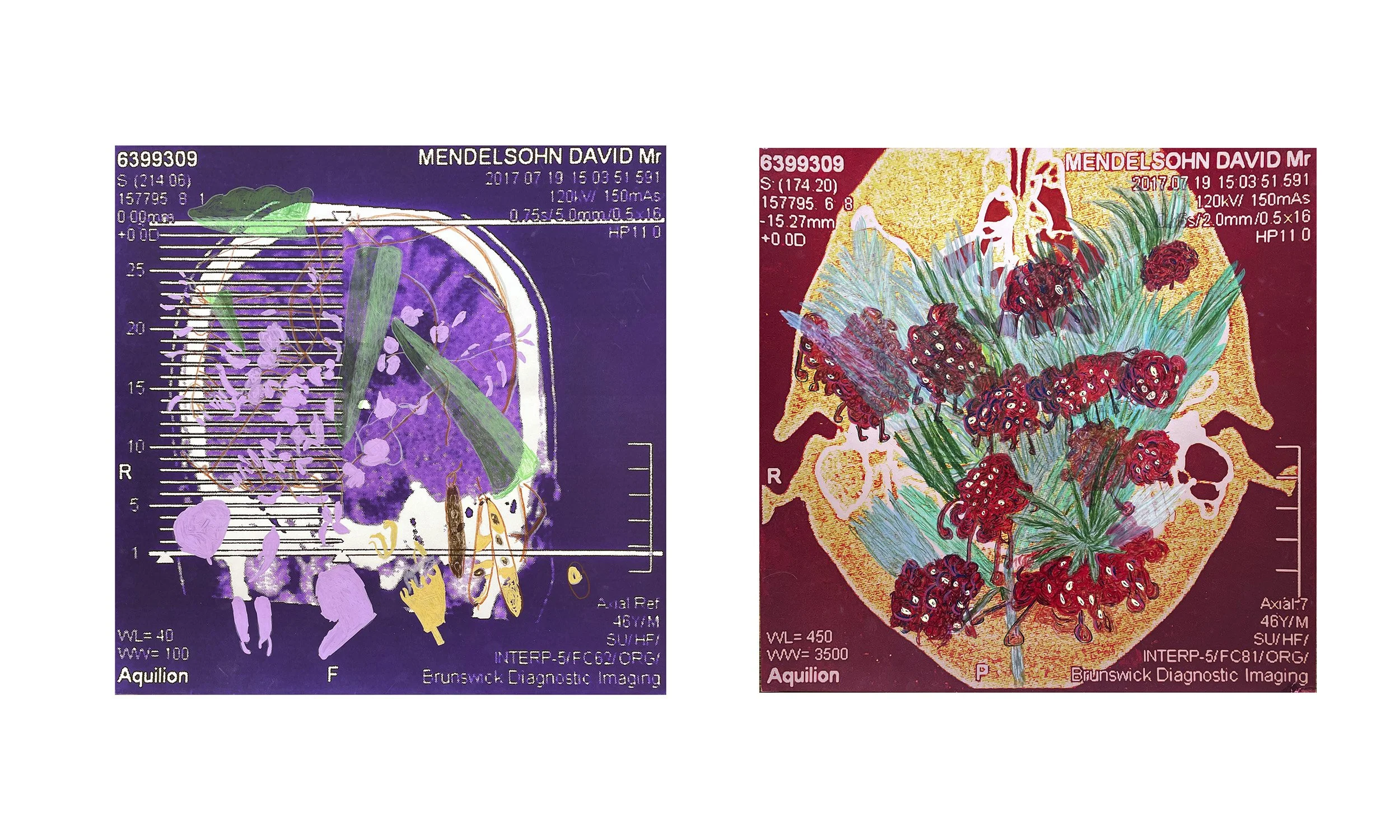 A Survey Through the Archive