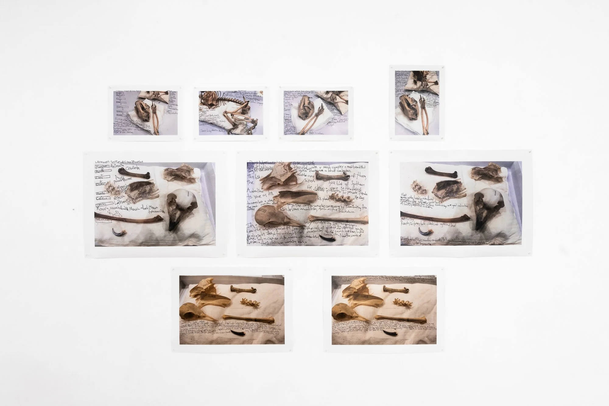 250502-Proximate Worlds-David Mendelsohn-WEB-6.jpg