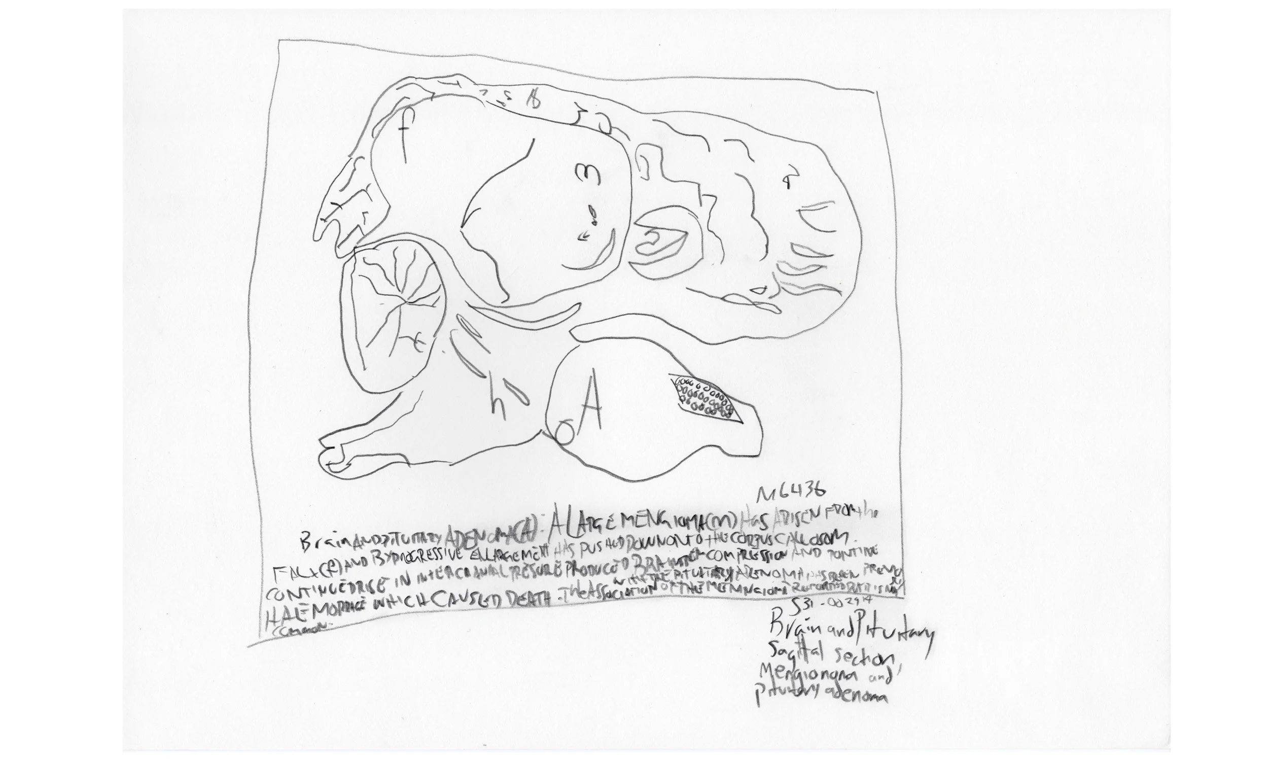 Metadata (working title)