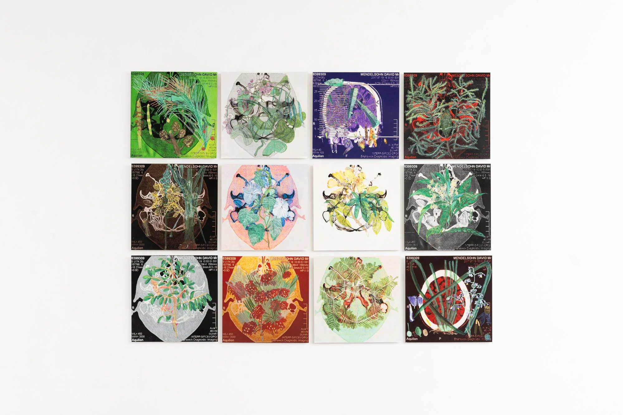 250502-Proximate Worlds-David Mendelsohn-WEB-2.jpg