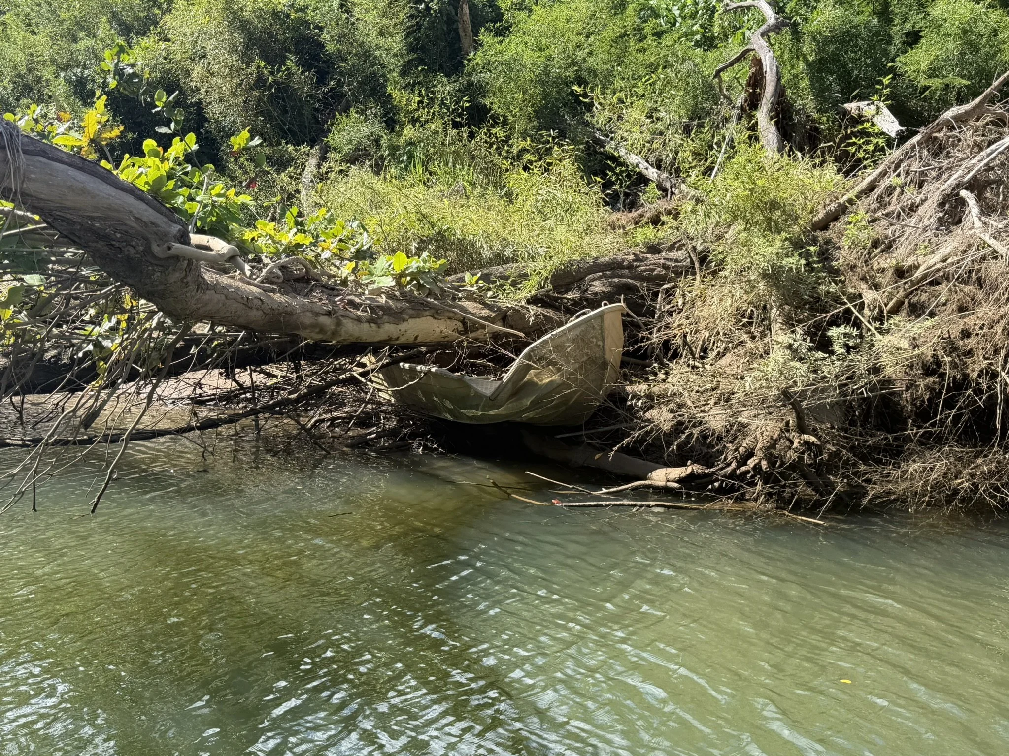 Flood debris, fallen trees and an overturned boat along a riverbank following a major flooding event