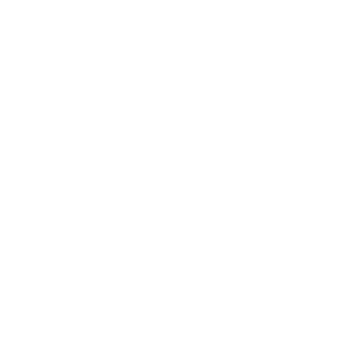 Elisa Stone Photography