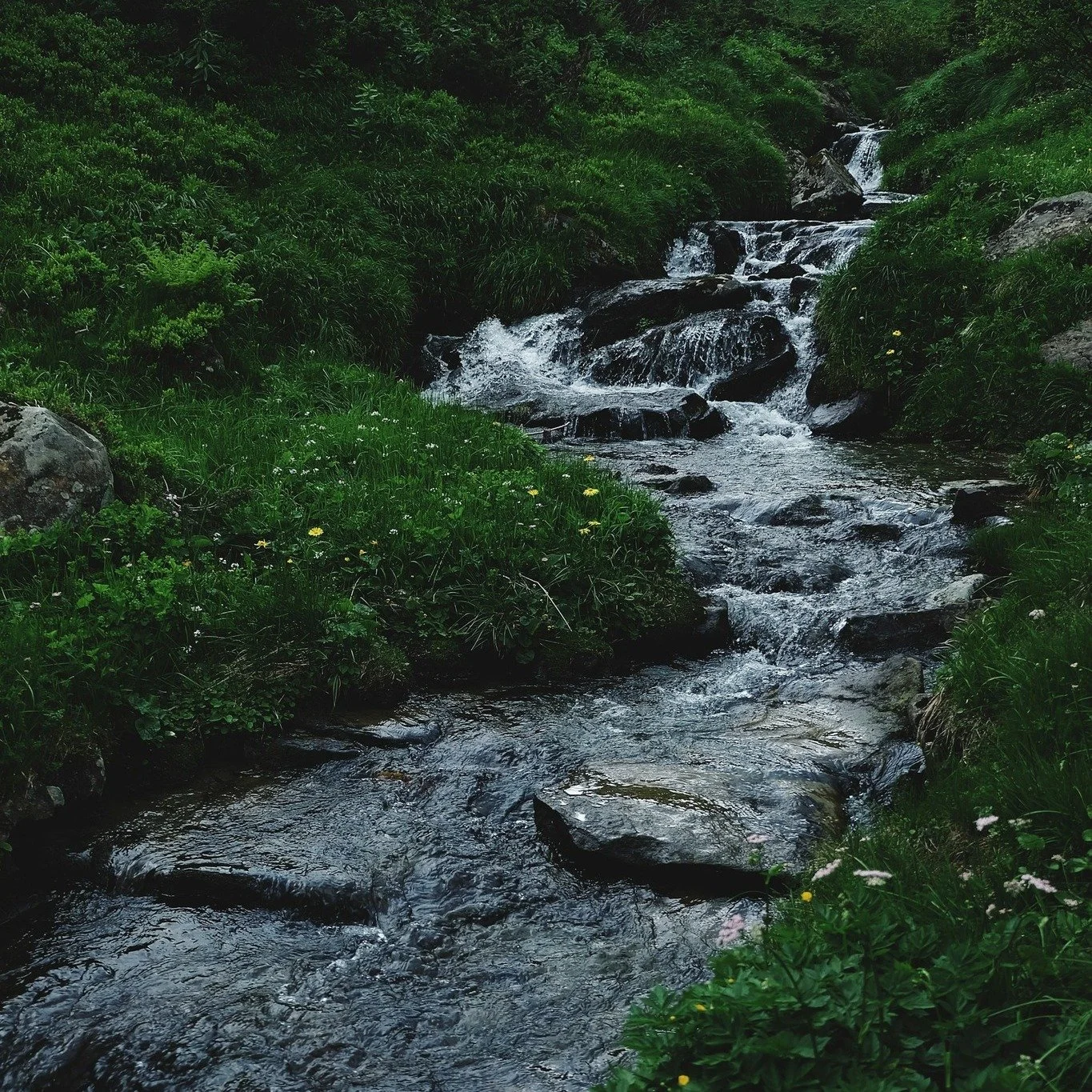 &quot;Beyond what we wish and what we fear may happen, we have another life, as clear and free as a mountain stream&quot;. 
By Rumi

#hakeachinesemedicine #acupuncture #traditionalchinesemedicine