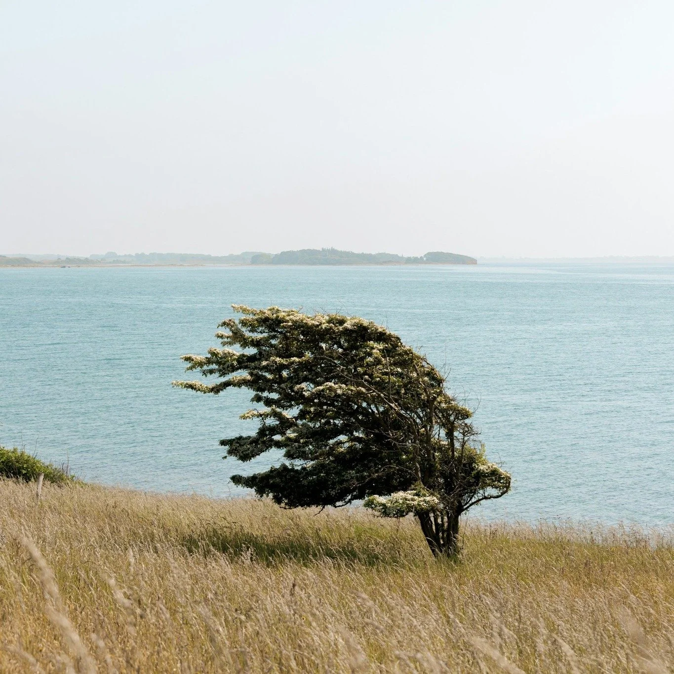 "Sometimes I go about in pity for myself, and, all the while, a great wind carries me across the sky"
Ojibwe proverb

#hakeachinesemedicine #traditionalchinesemedicine #acupuncture