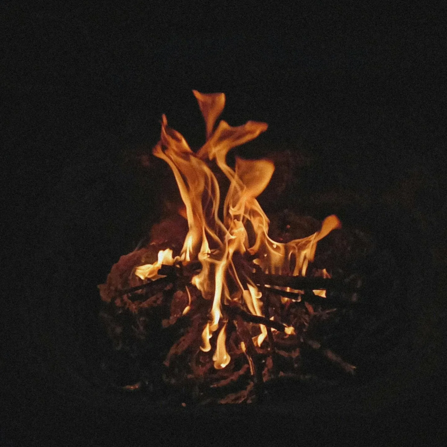 "When there's nothing left to burn, you have to set yourself on fire"
Lyrics from Your Ex Lover&rsquo;s Dead, Stars

#hakeachinesemedicine #acupuncture #traditionalchinesemedicine