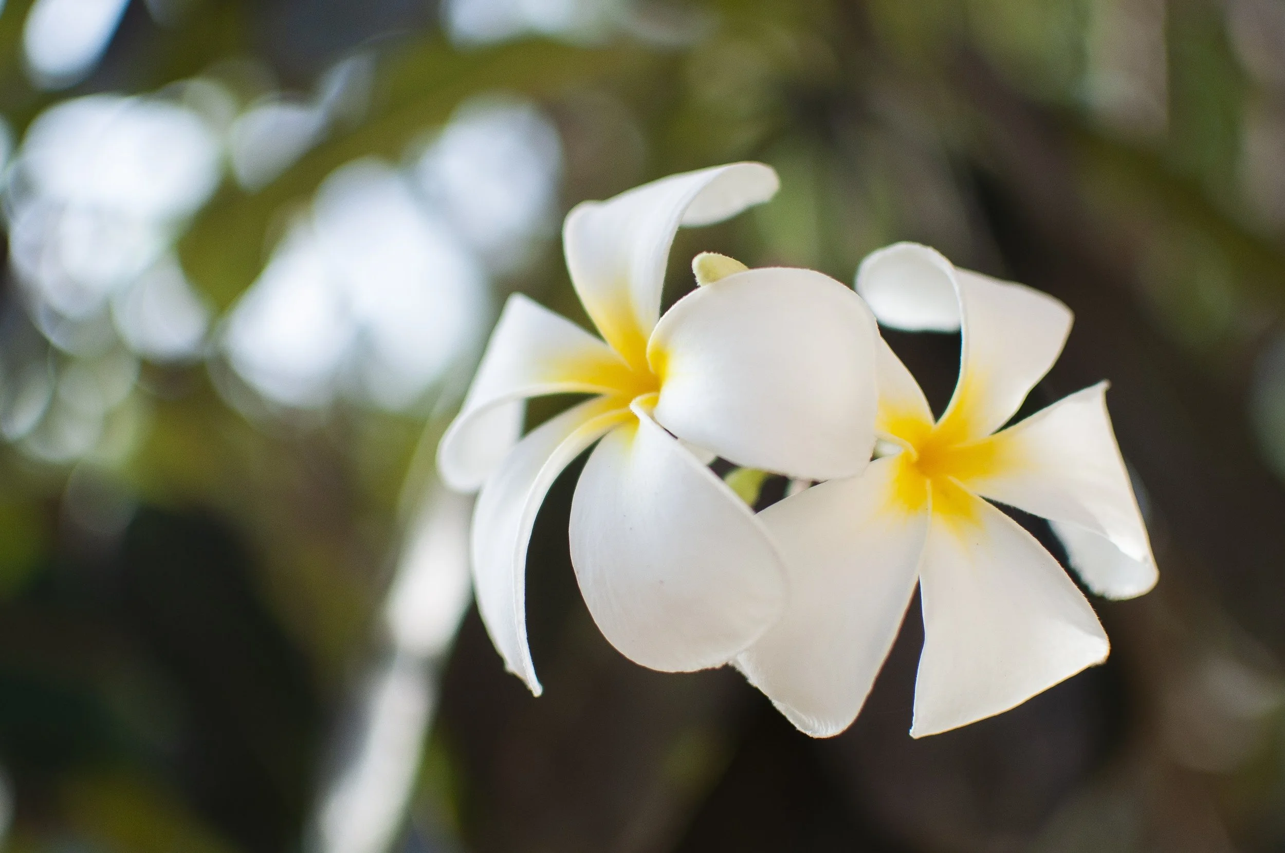 Maweni House -  Outside007.jpg