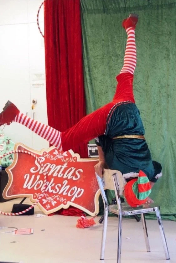 Themed Entertainment