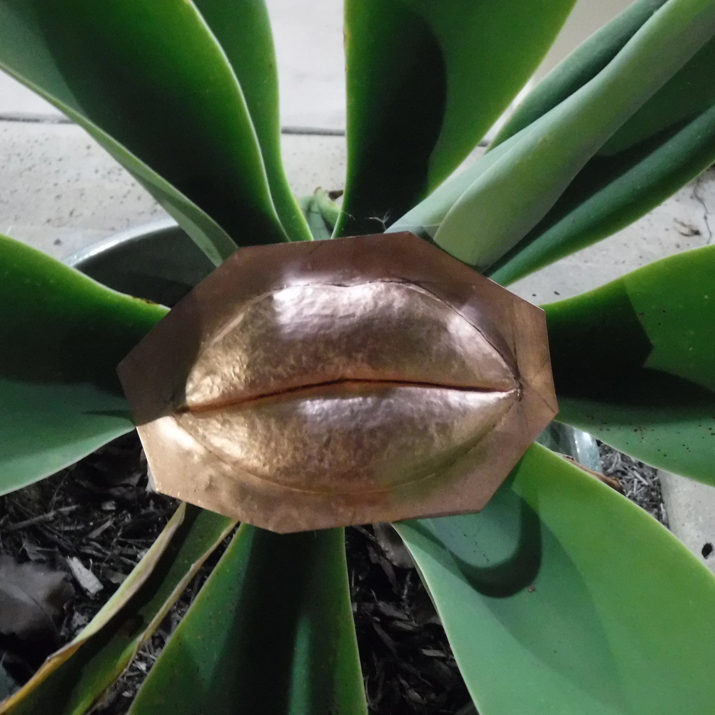 DSCF2064.JPG