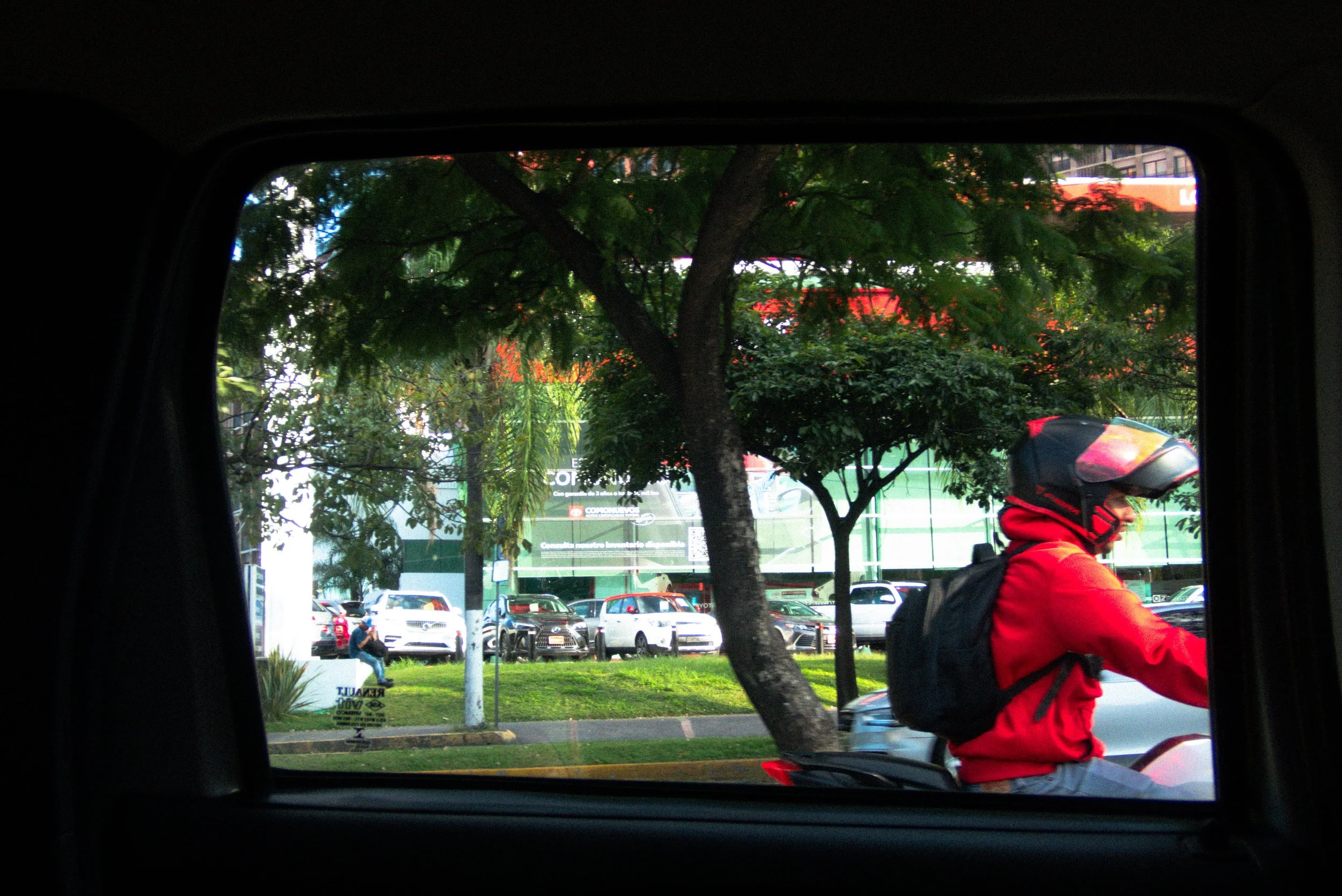 PA130047.jpg