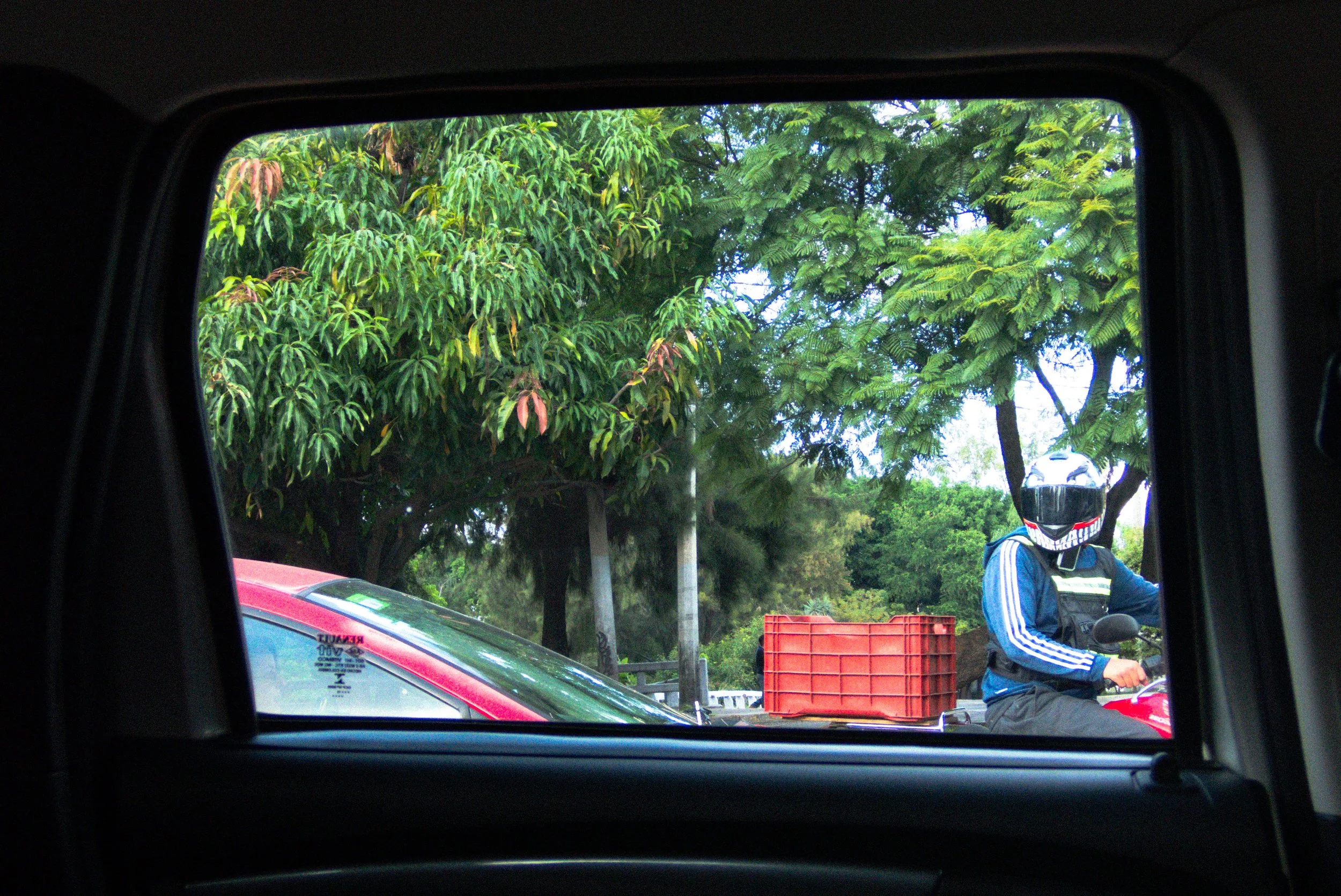 PA130038.jpg
