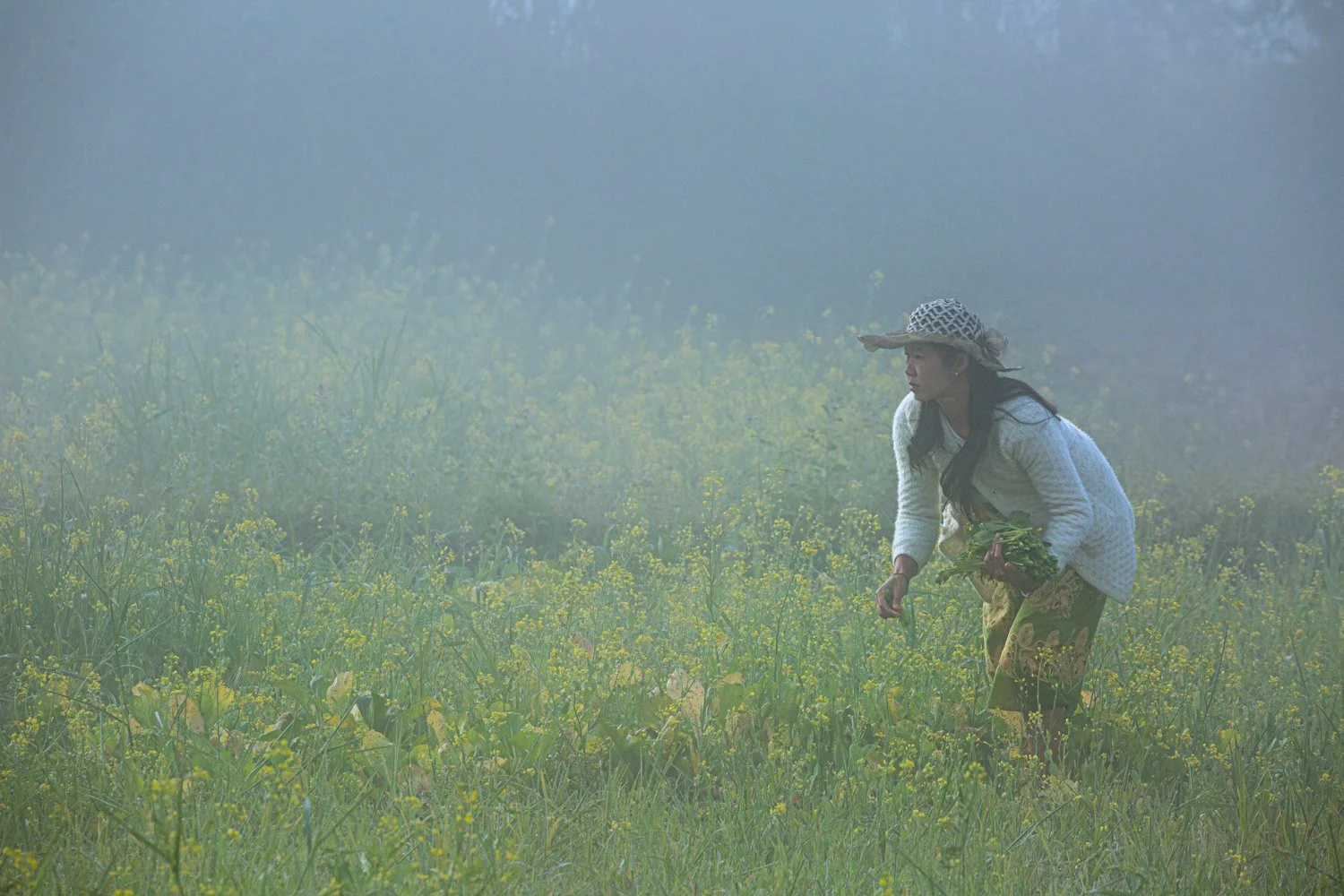 _U8A0903.jpg