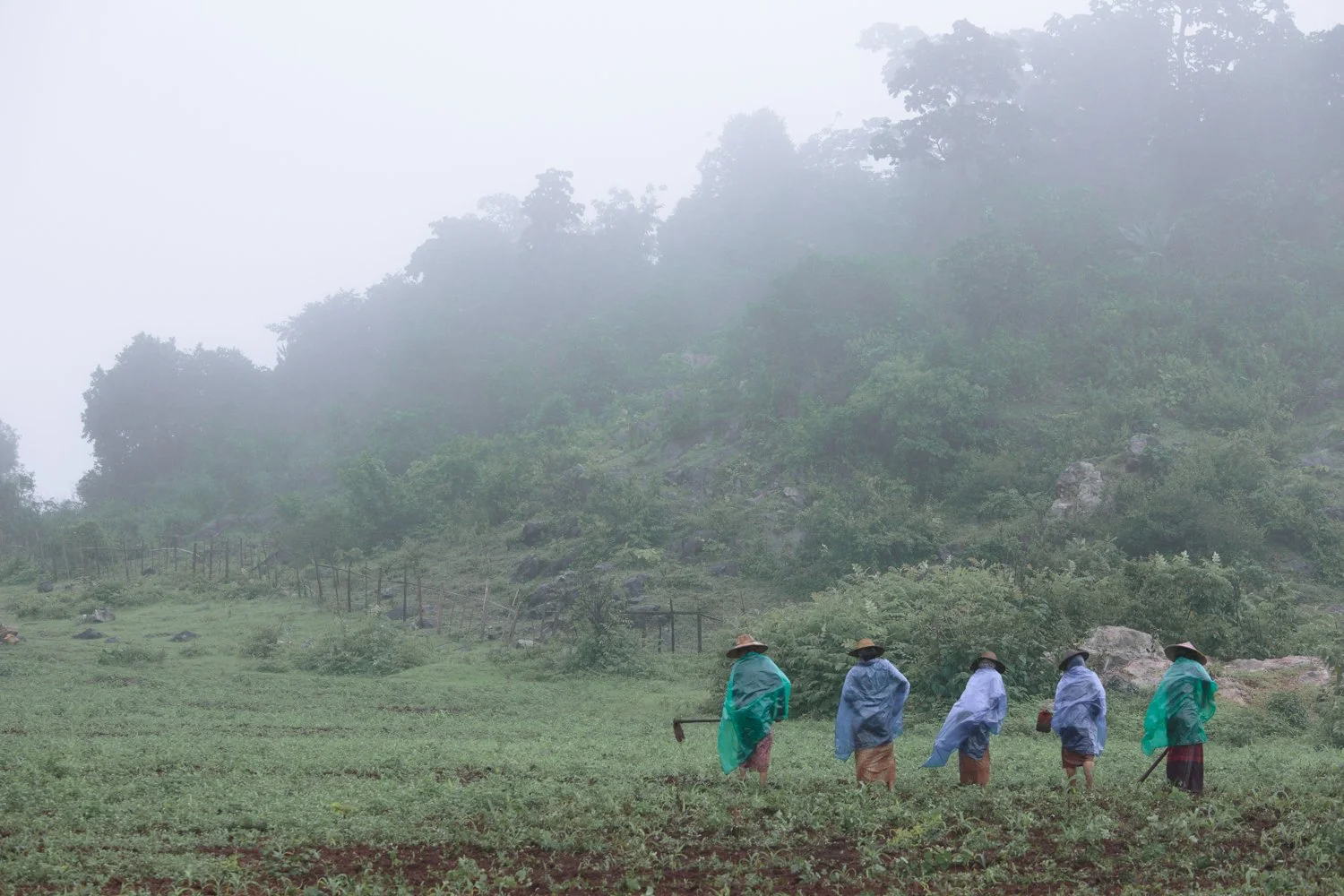 20190726Adams-Myanmar-Loikaw4840.jpg