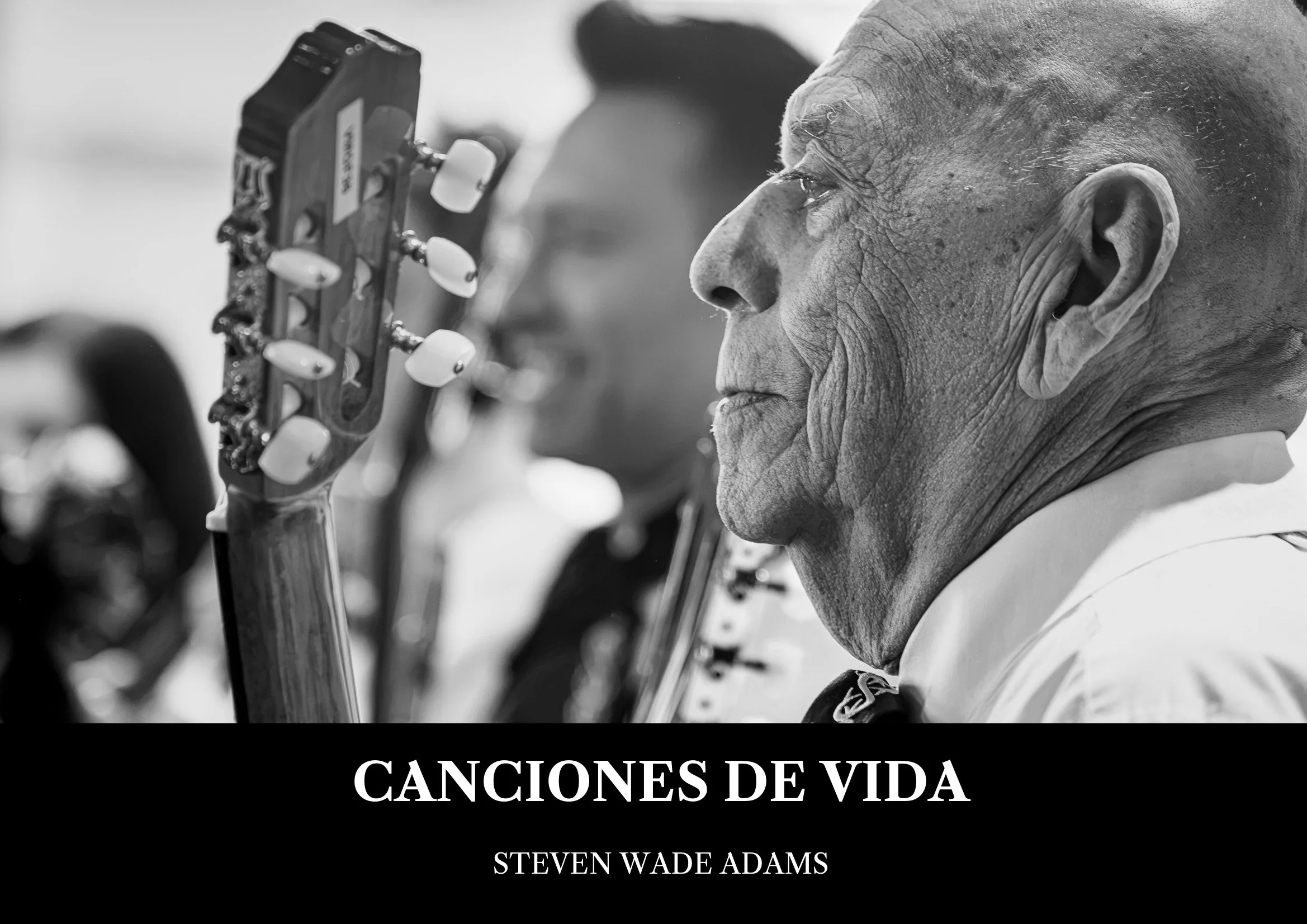 Canciones de Vida by Steven Wade Adams